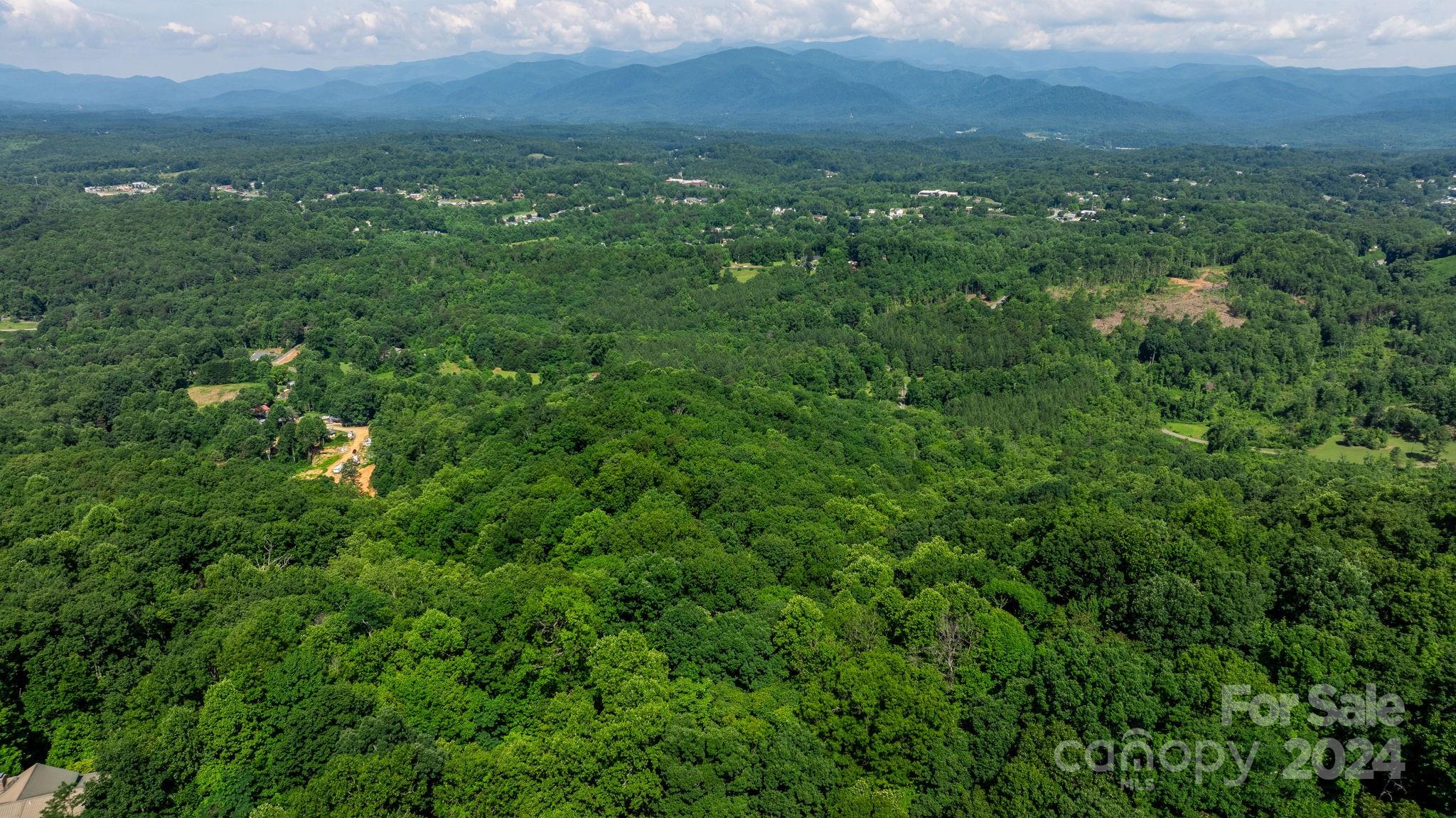 0 Grants Mountain Road 29 Property Photo 17