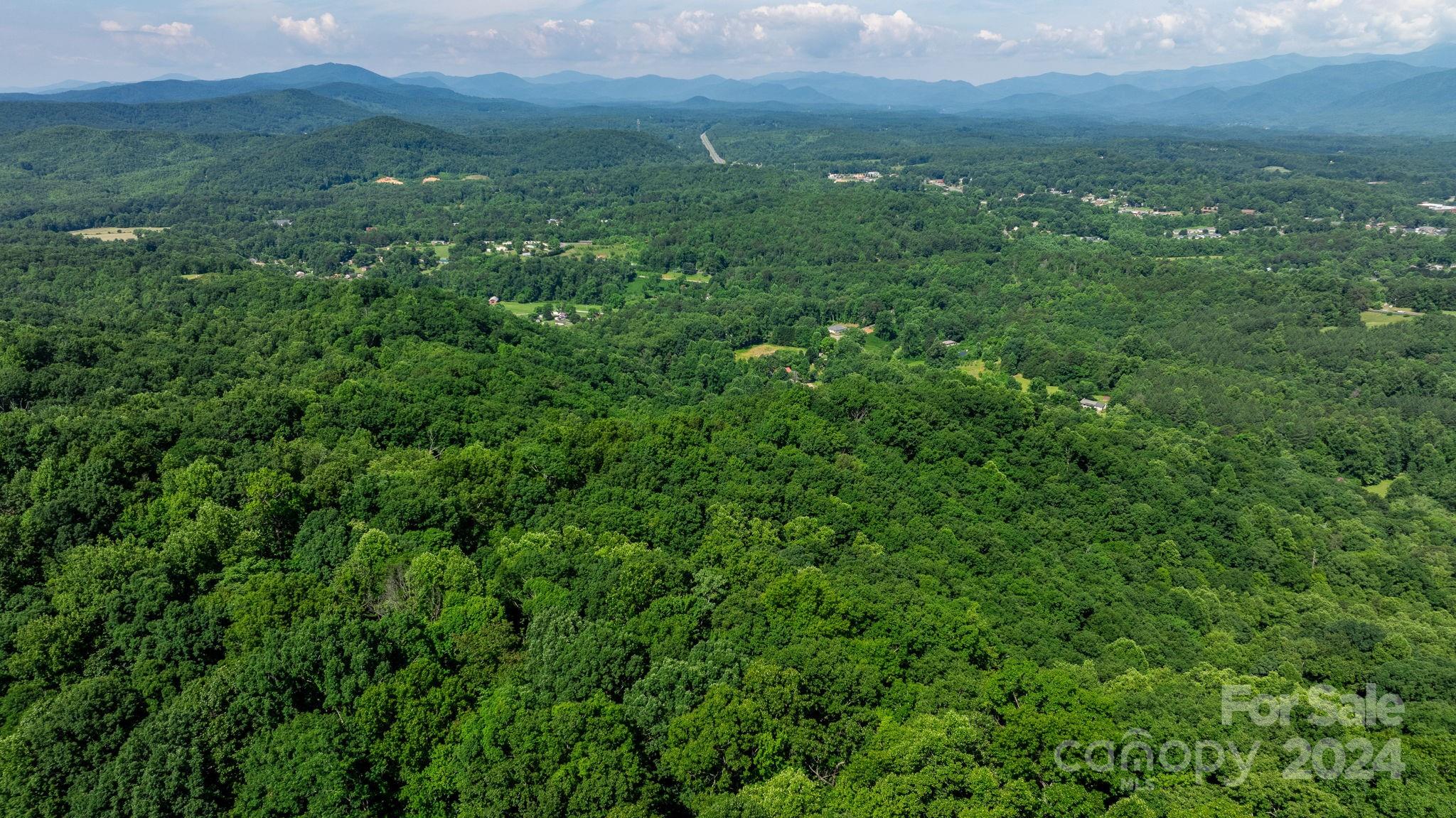 0 Grants Mountain Road 29 Property Photo 18