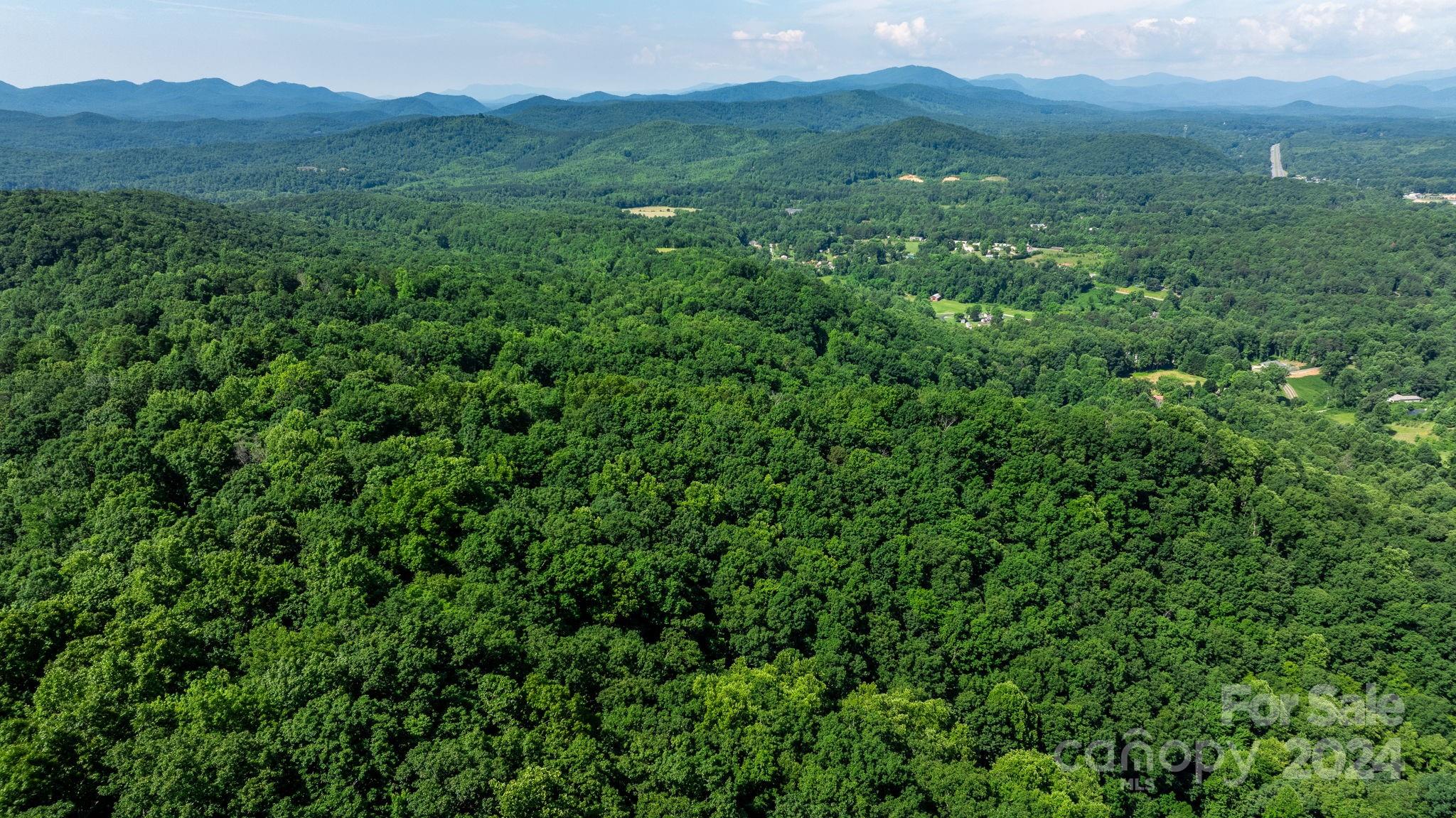 0 Grants Mountain Road 29 Property Photo 19