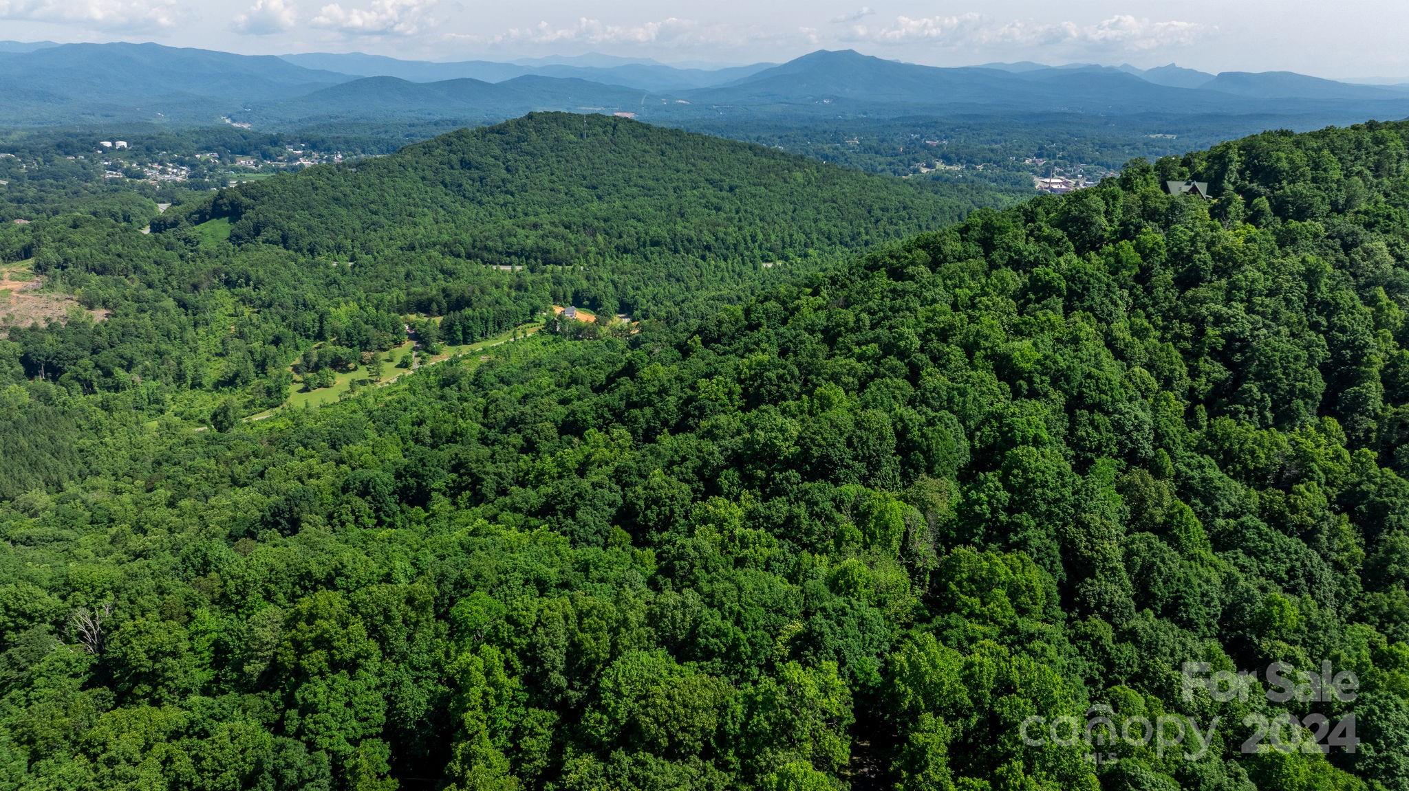 0 Grants Mountain Road 29 Property Photo 24