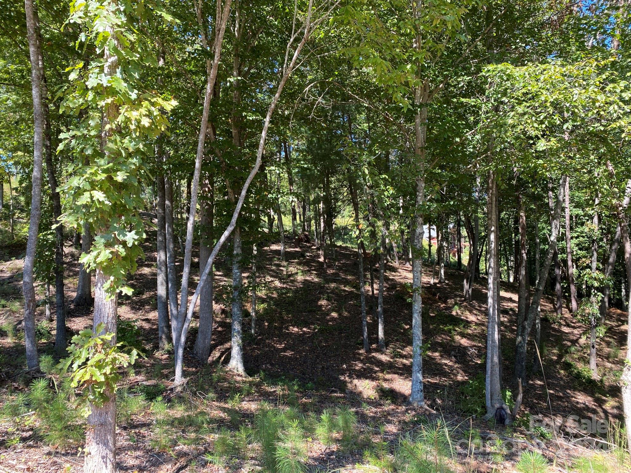 Lot 93 Leeward Lane 93 Property Photo 3