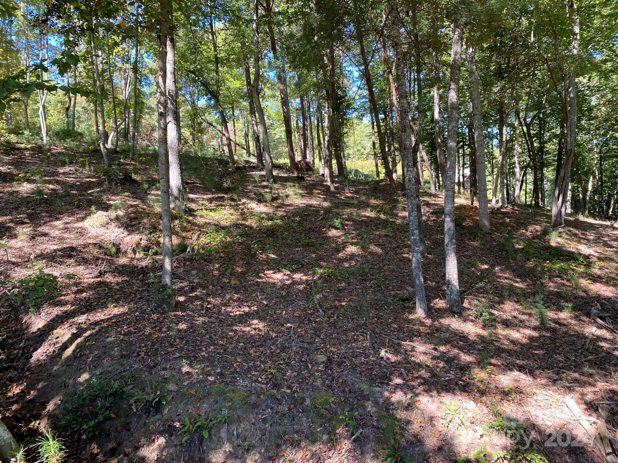 Lot 93 Leeward Lane 93 Property Photo 4