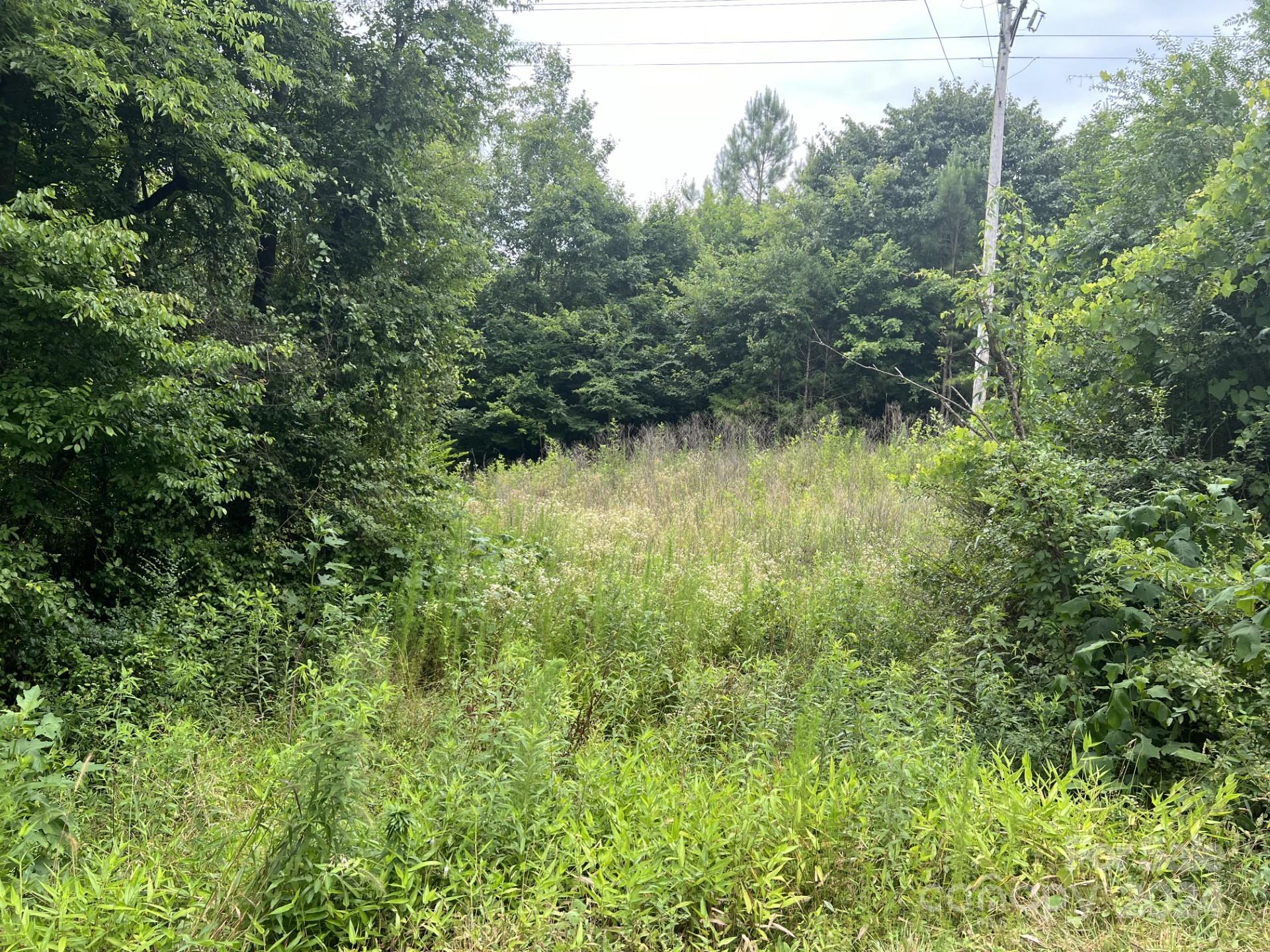 00 Cottonville Road Property Photo 2