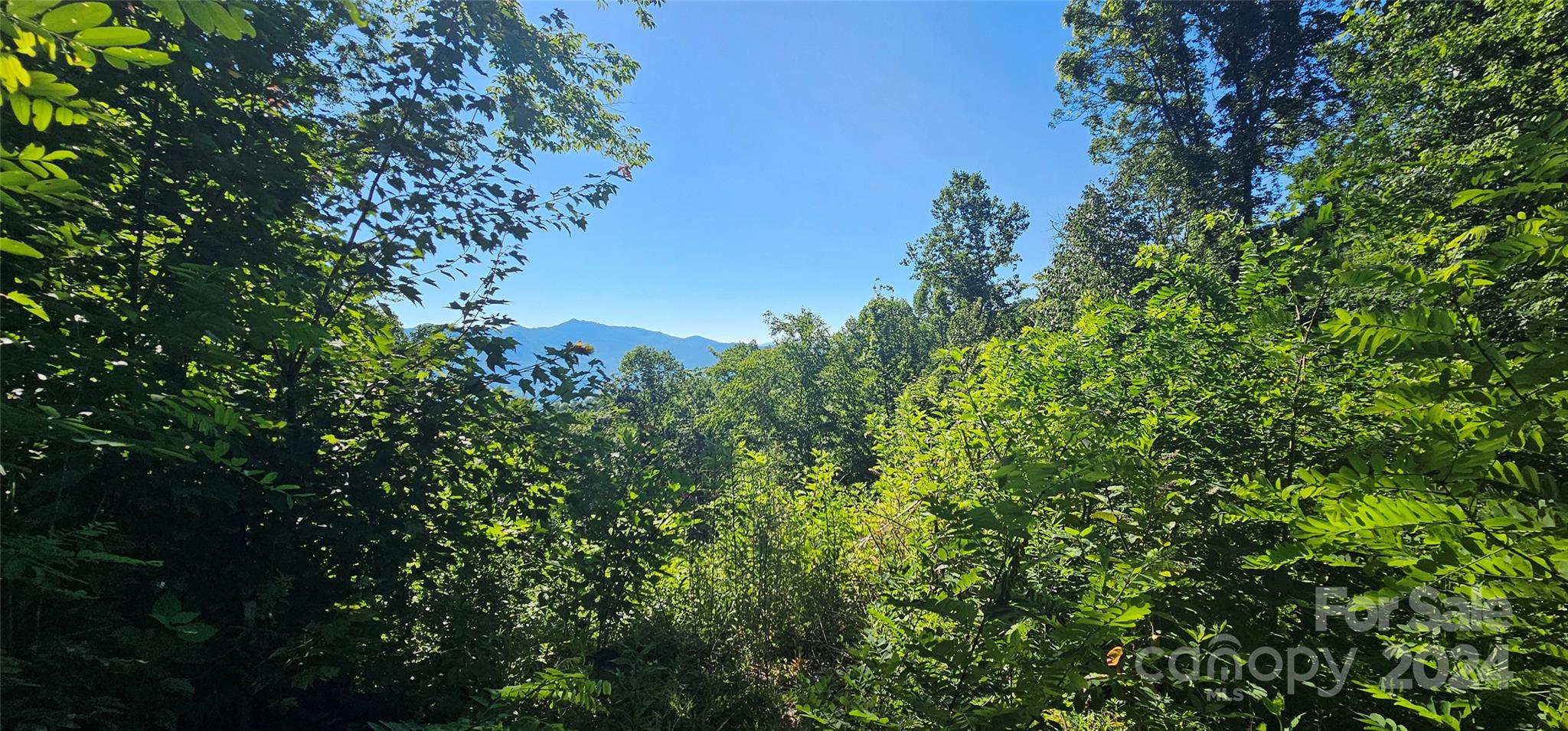 8 Lots Frontier Way Property Photo 9