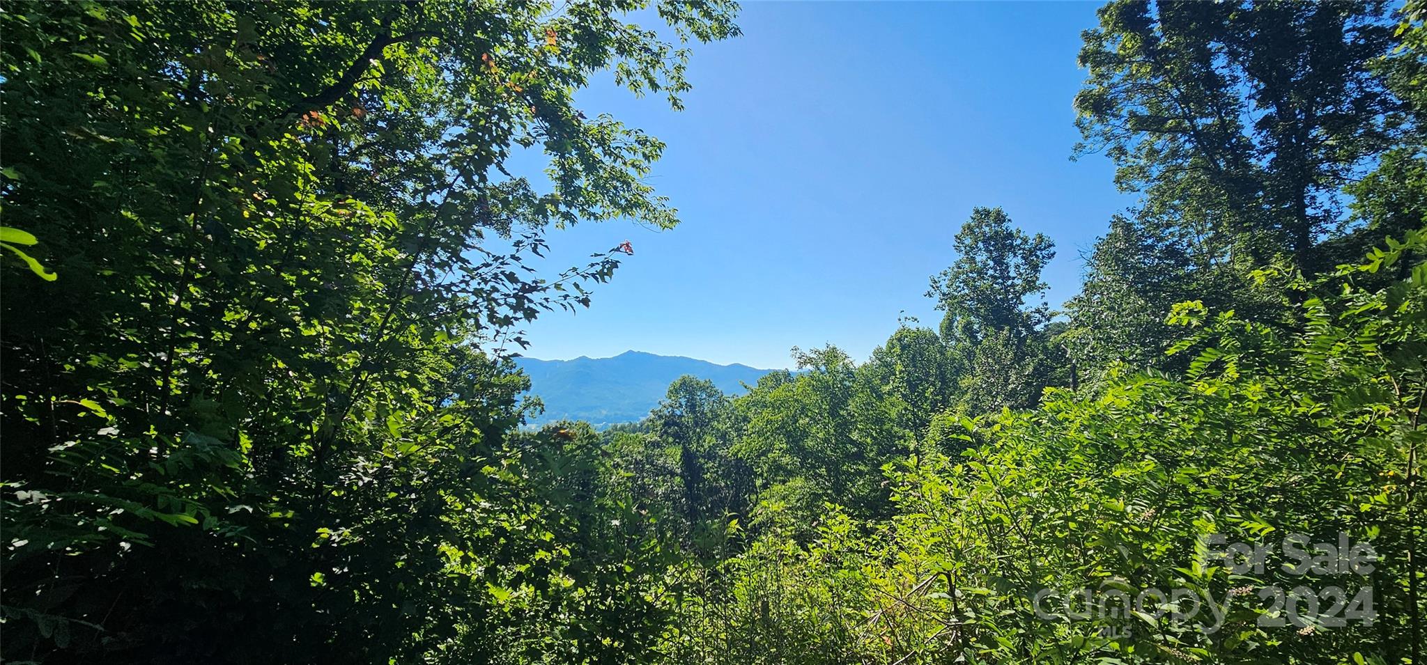 8 Lots Frontier Way Property Photo 10