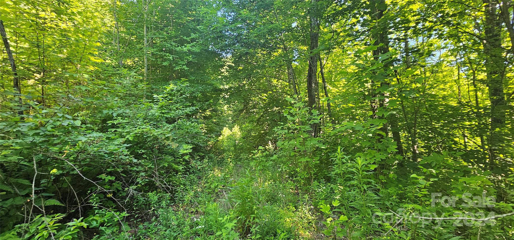 8 Lots Frontier Way Property Photo 20