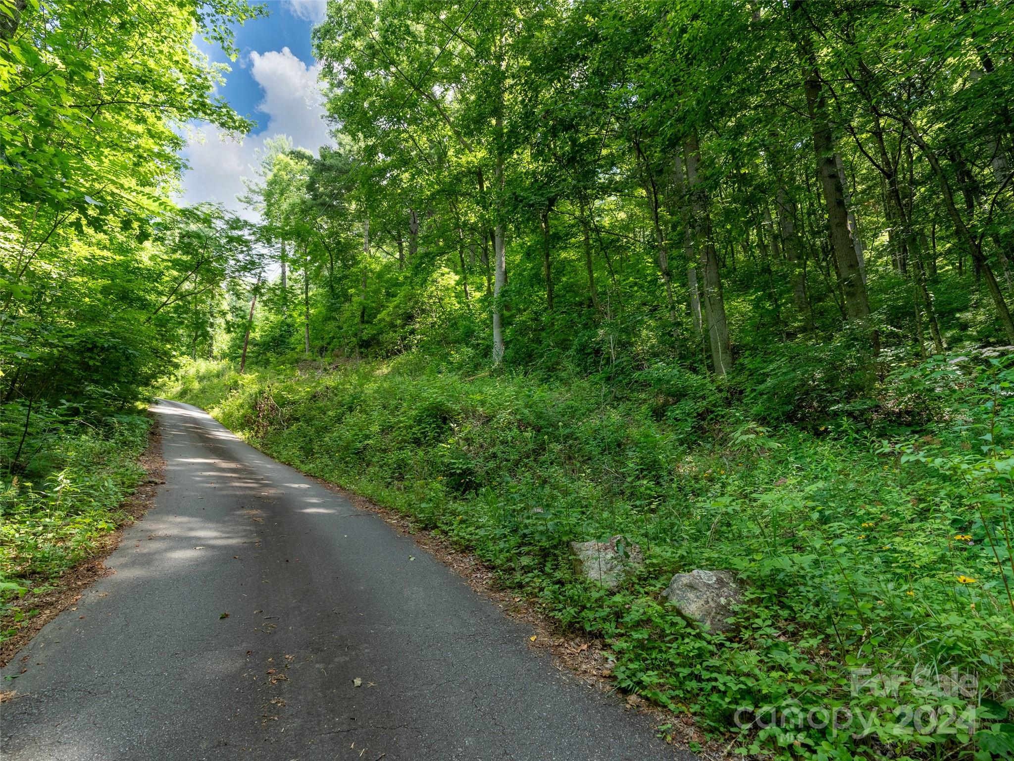 99999 Solitude Ridge Property Photo 4