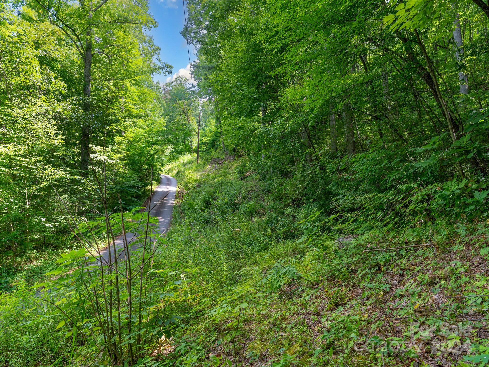 99999 Solitude Ridge Property Photo 6