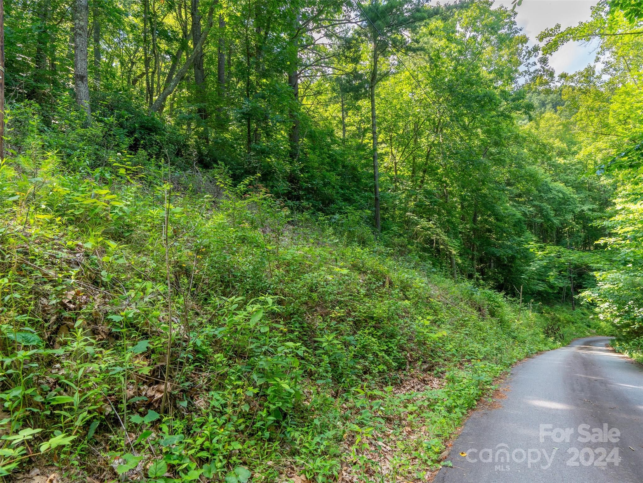 99999 Solitude Ridge Property Photo 7