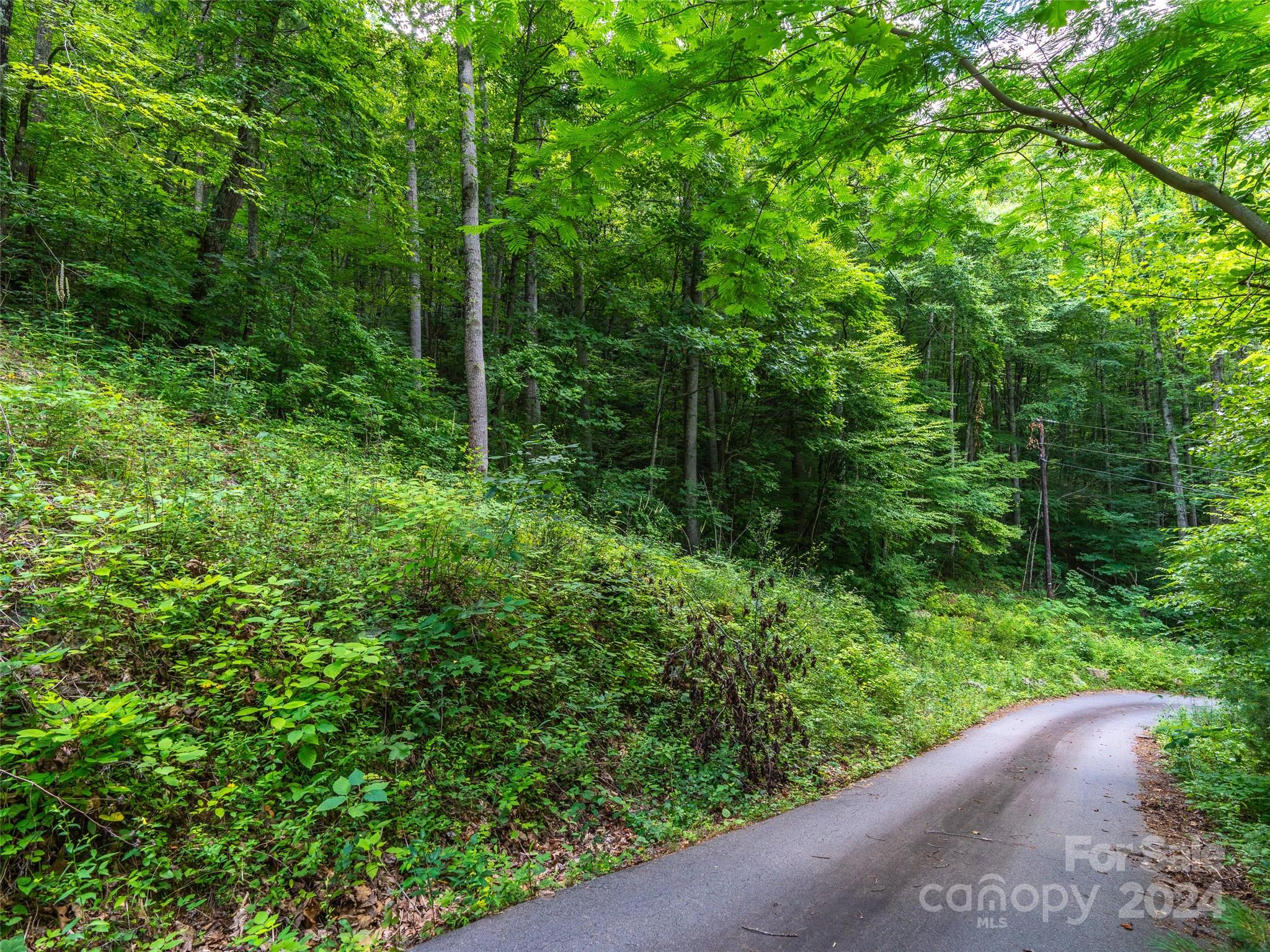 99999 Solitude Ridge Property Photo 8