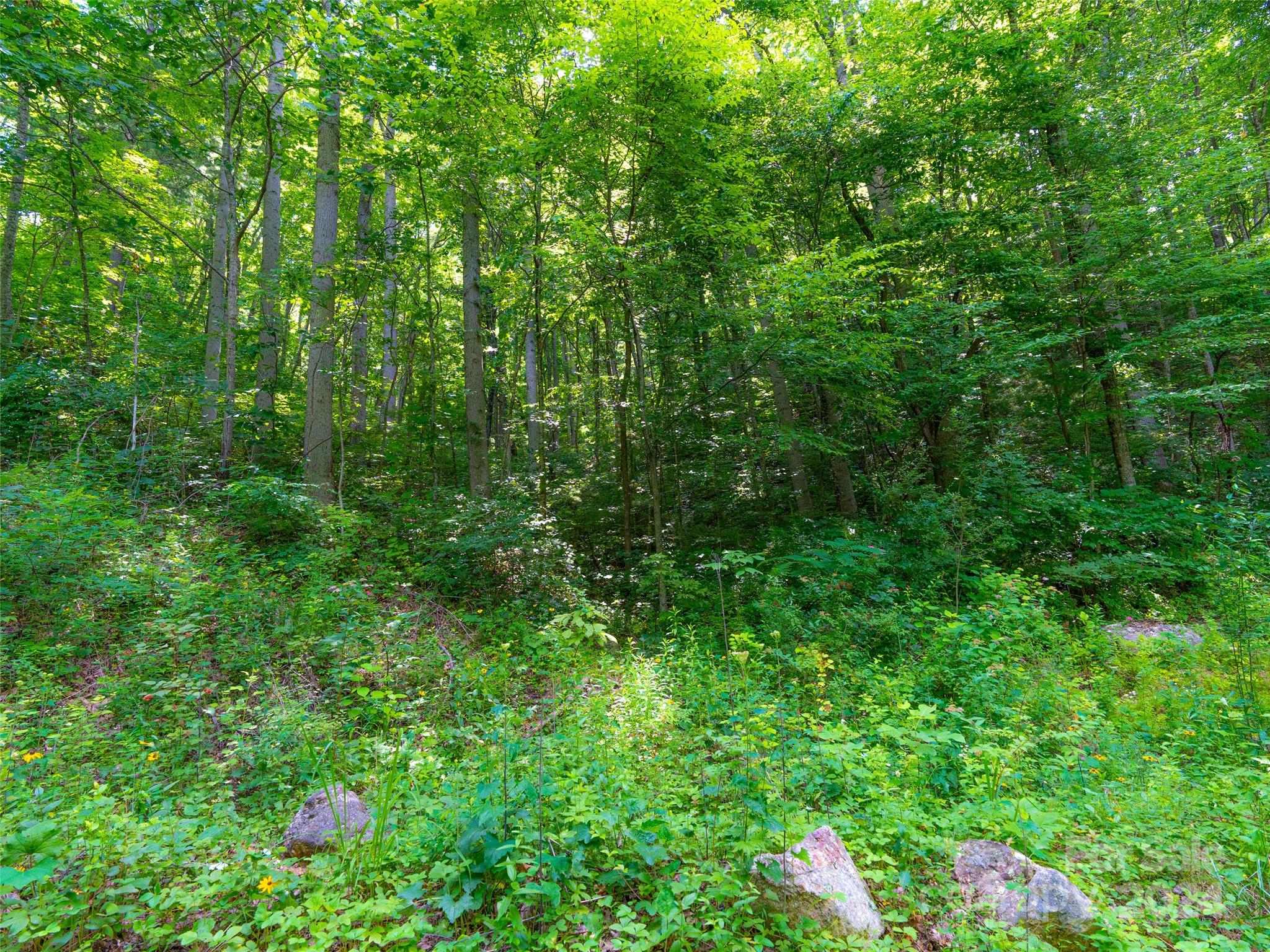 99999 Solitude Ridge Property Photo 18