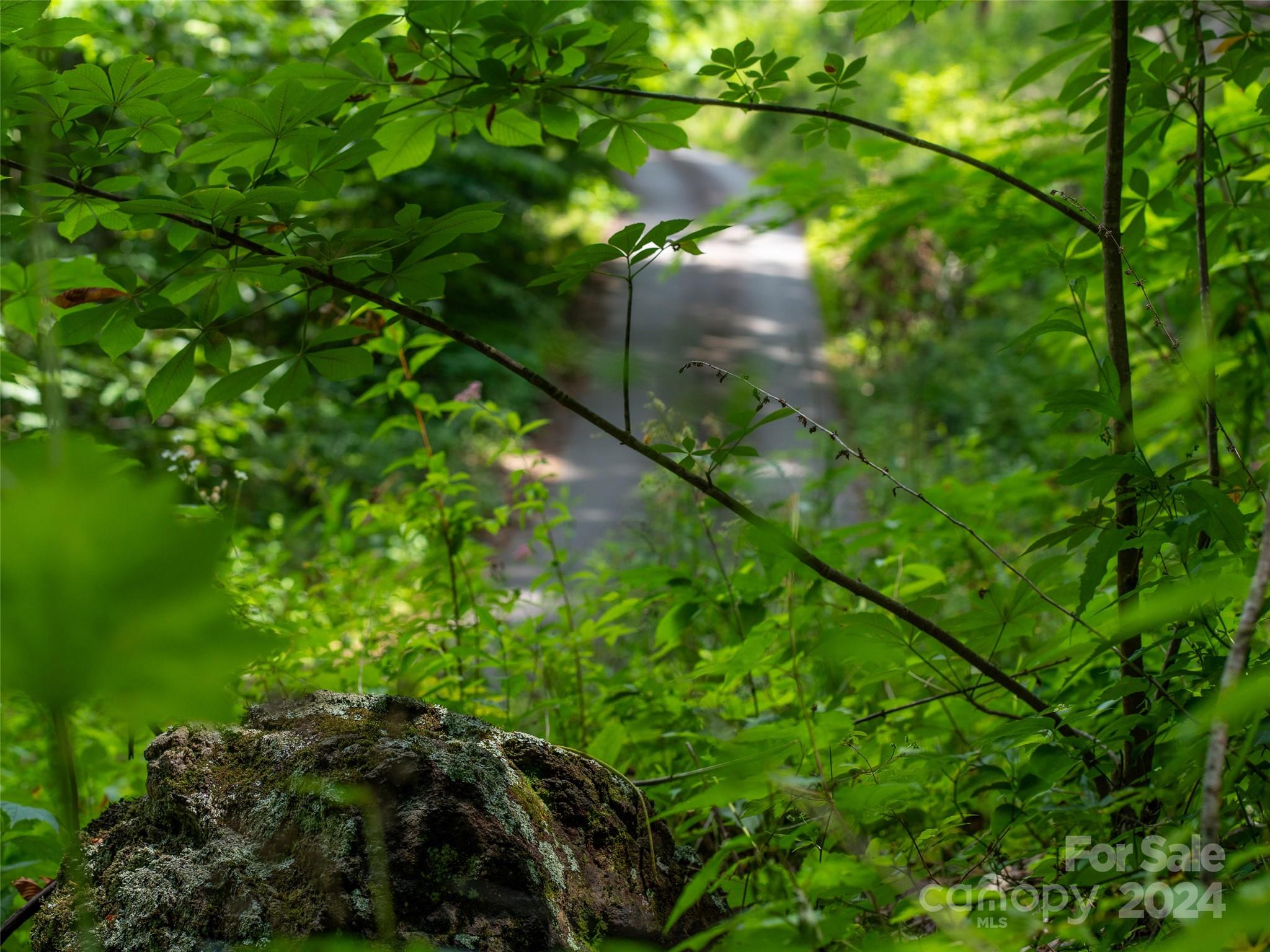 99999 Solitude Ridge Property Photo 19