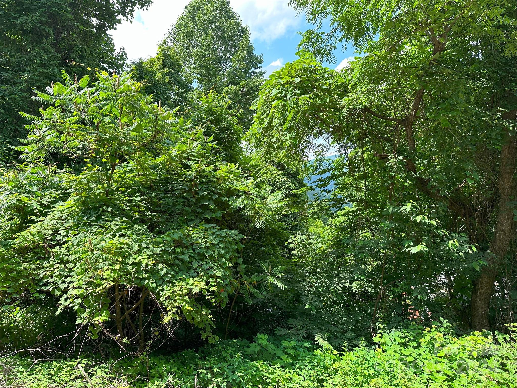 Lot 303 Slippery Rock Road Property Photo