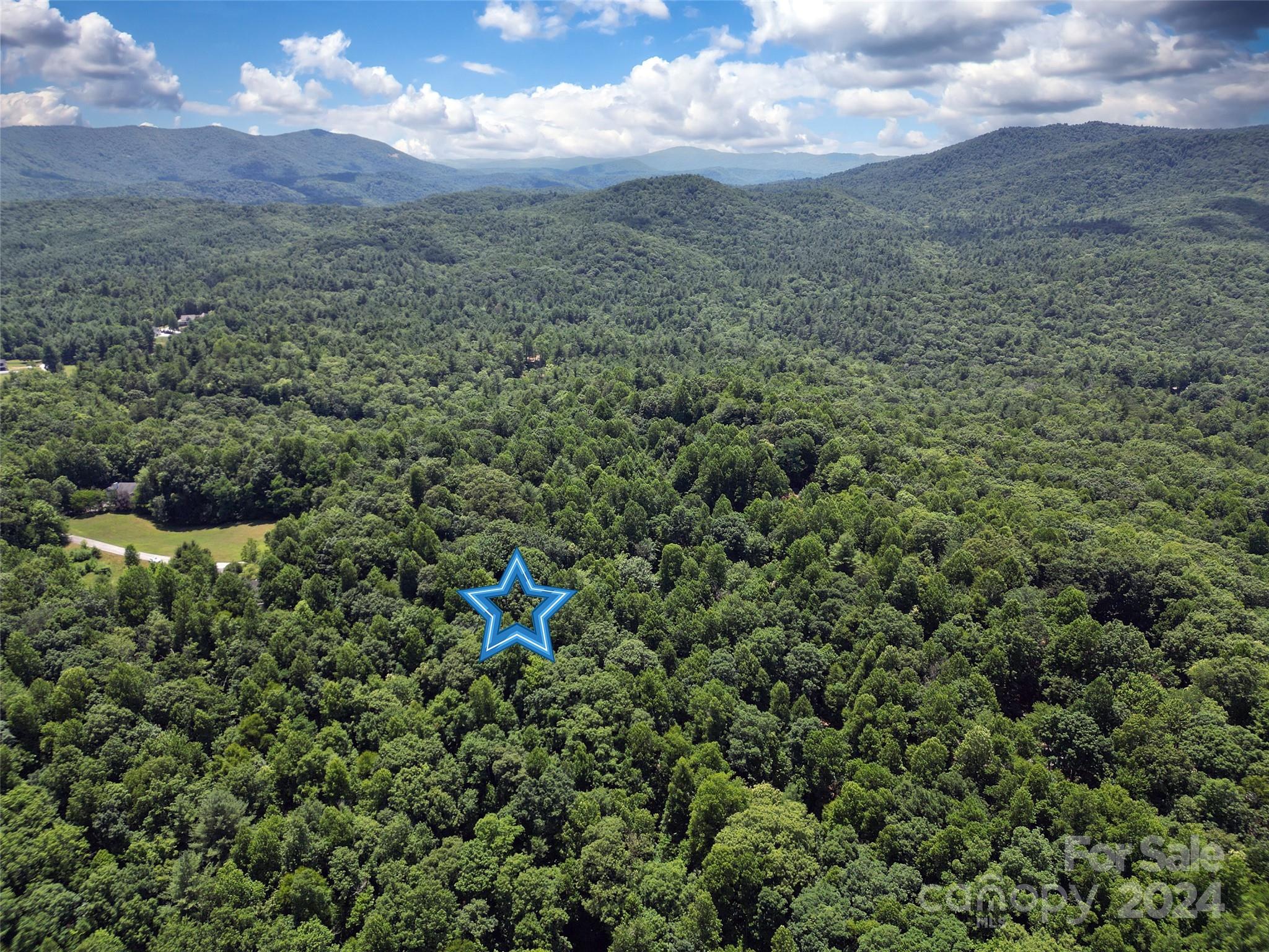 Tbd Hickory Tree Lane Property Photo 3