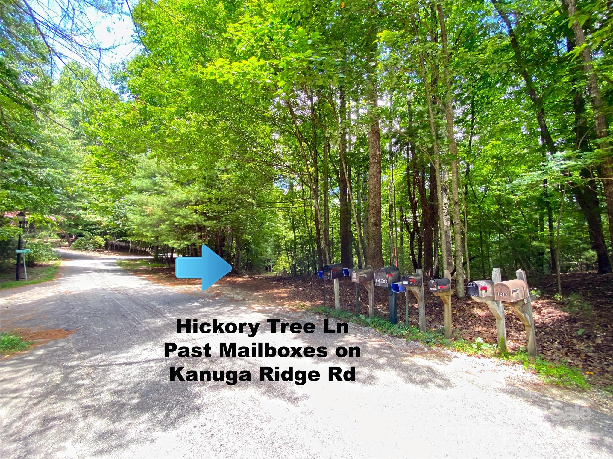 Tbd Hickory Tree Lane Property Photo 5