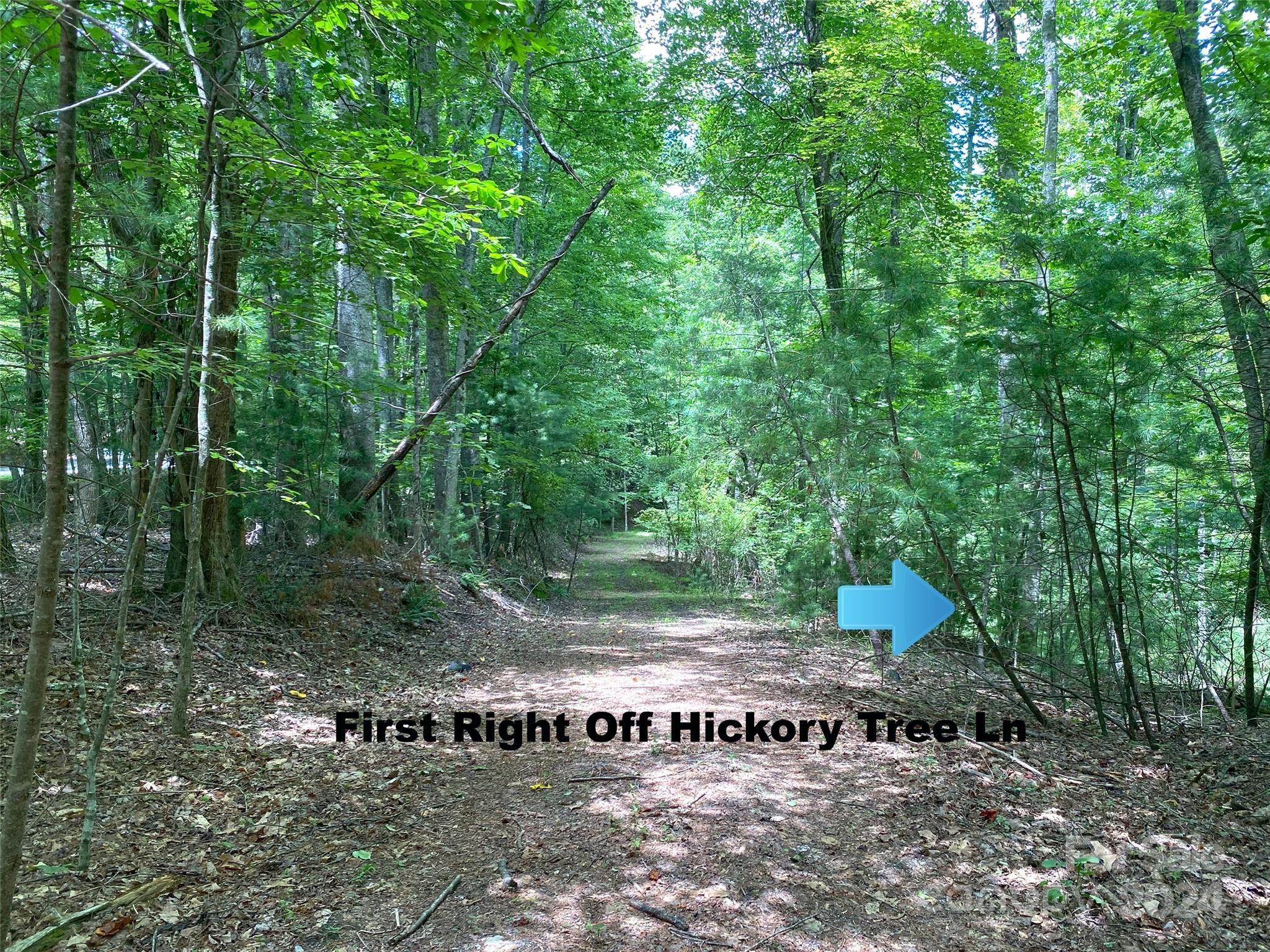 Tbd Hickory Tree Lane Property Photo 6