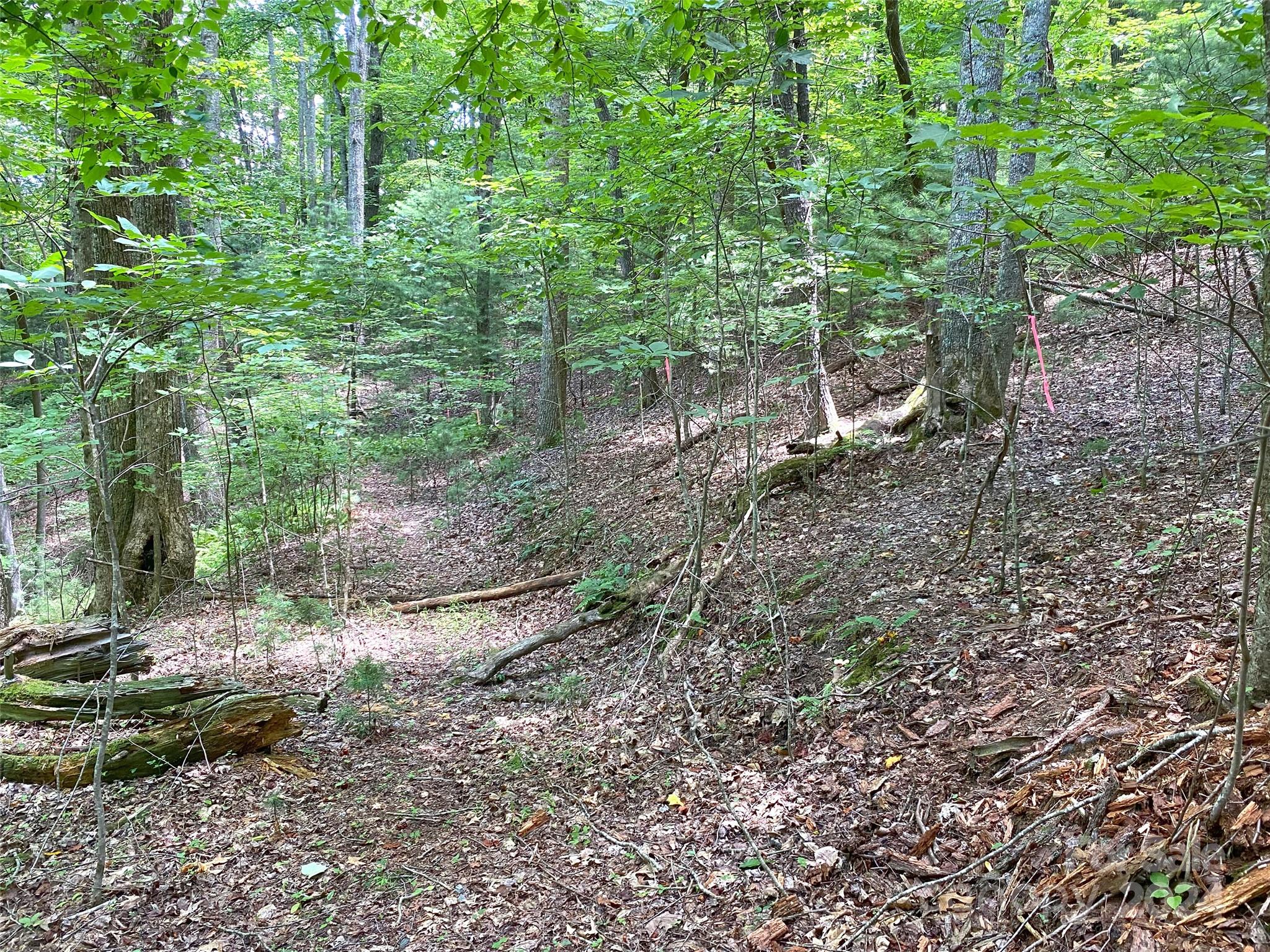 Tbd Hickory Tree Lane Property Photo 7