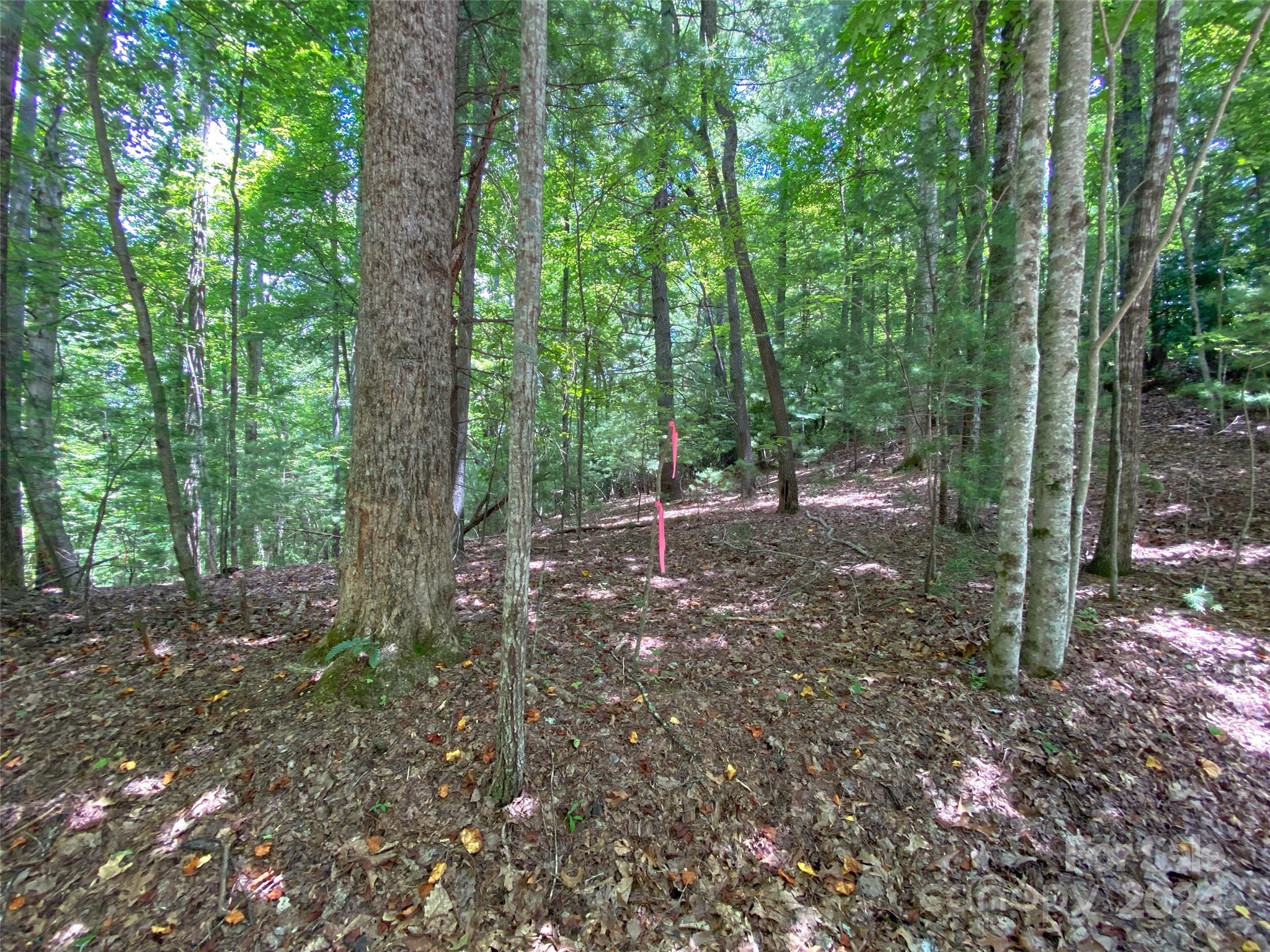 Tbd Hickory Tree Lane Property Photo 11