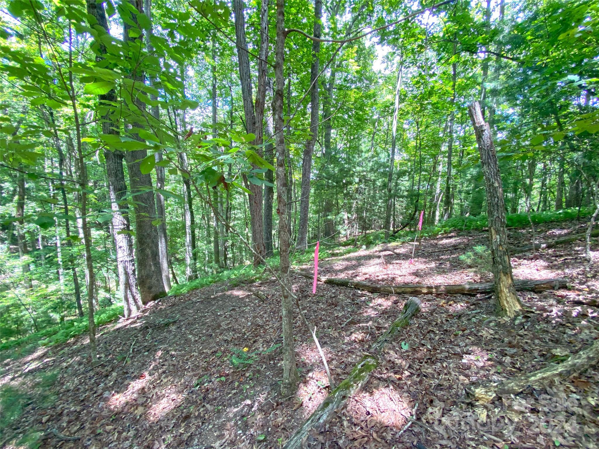 Tbd Hickory Tree Lane Property Photo 12