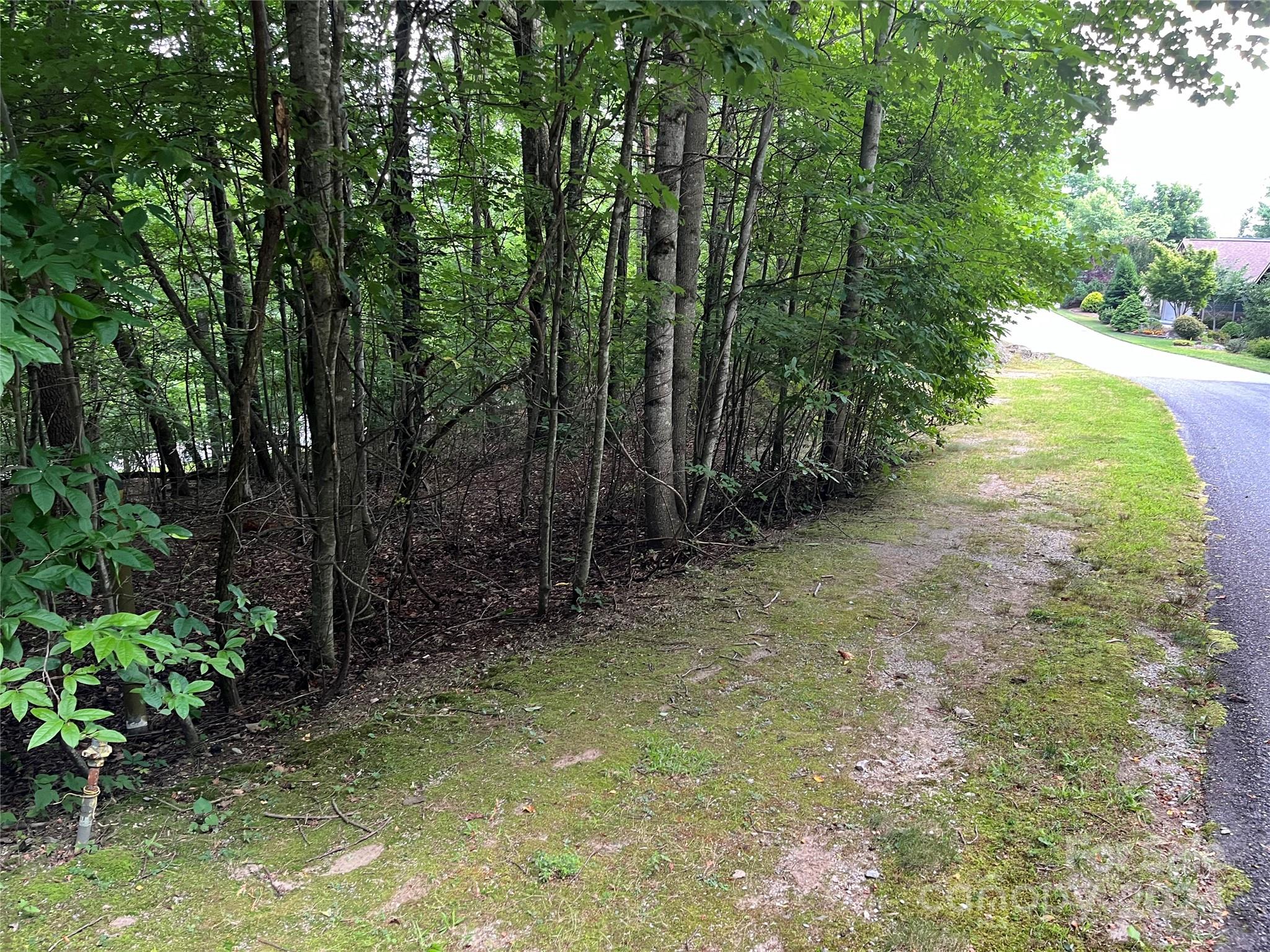 185 Ladys Fern Trail 8-g Property Photo