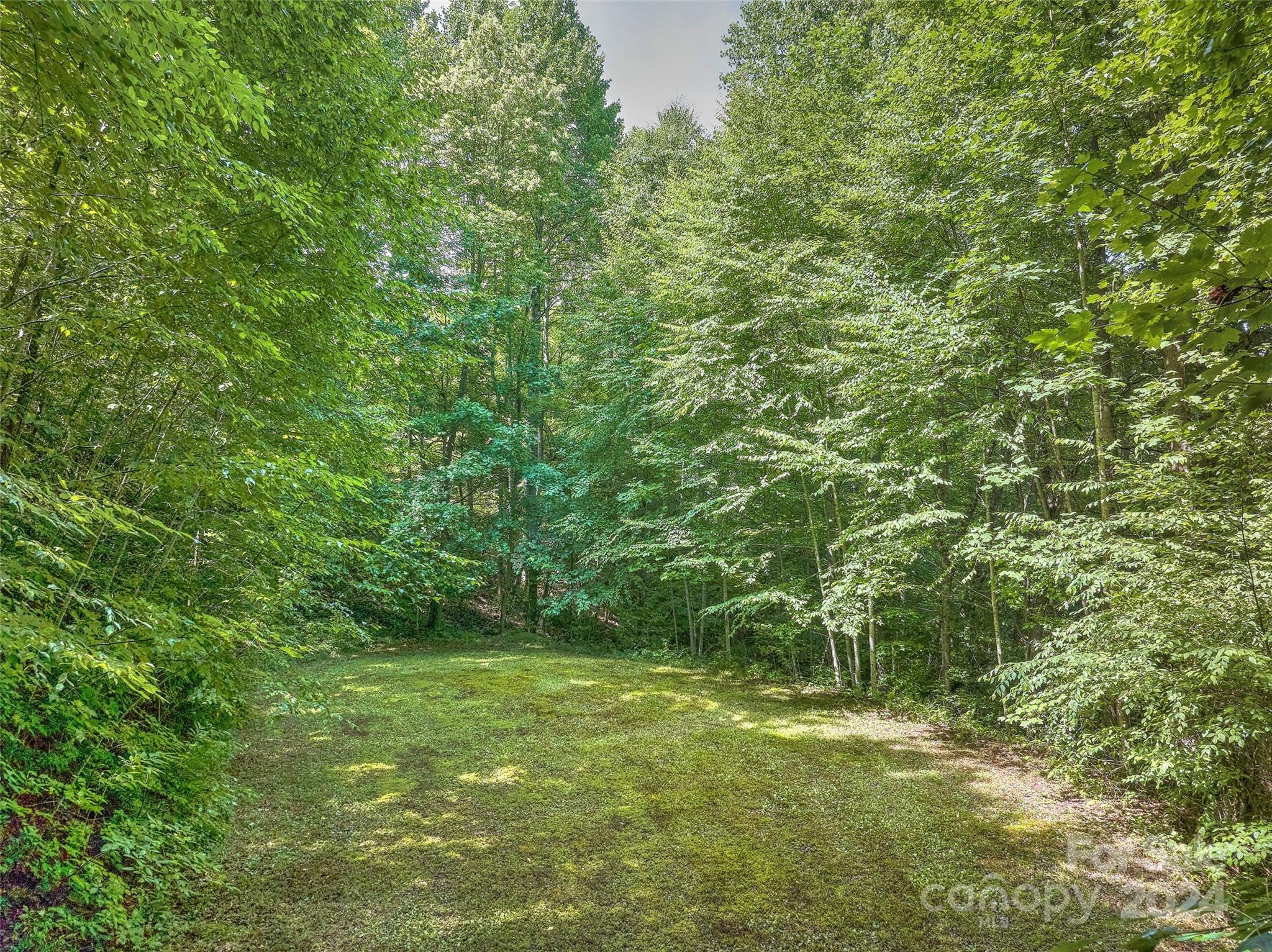 0 Jenkins Branch Road Property Photo