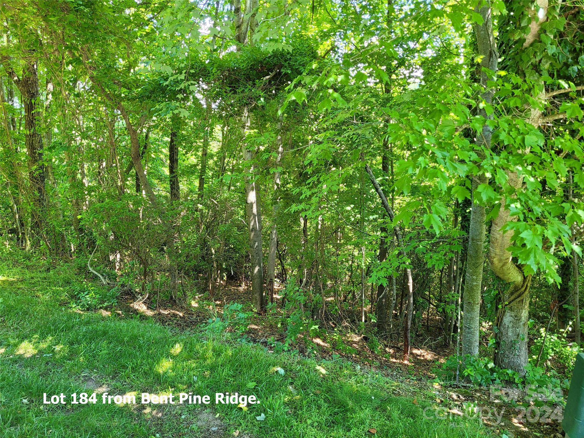 211 Bent Pine Trace 184 Property Photo 14