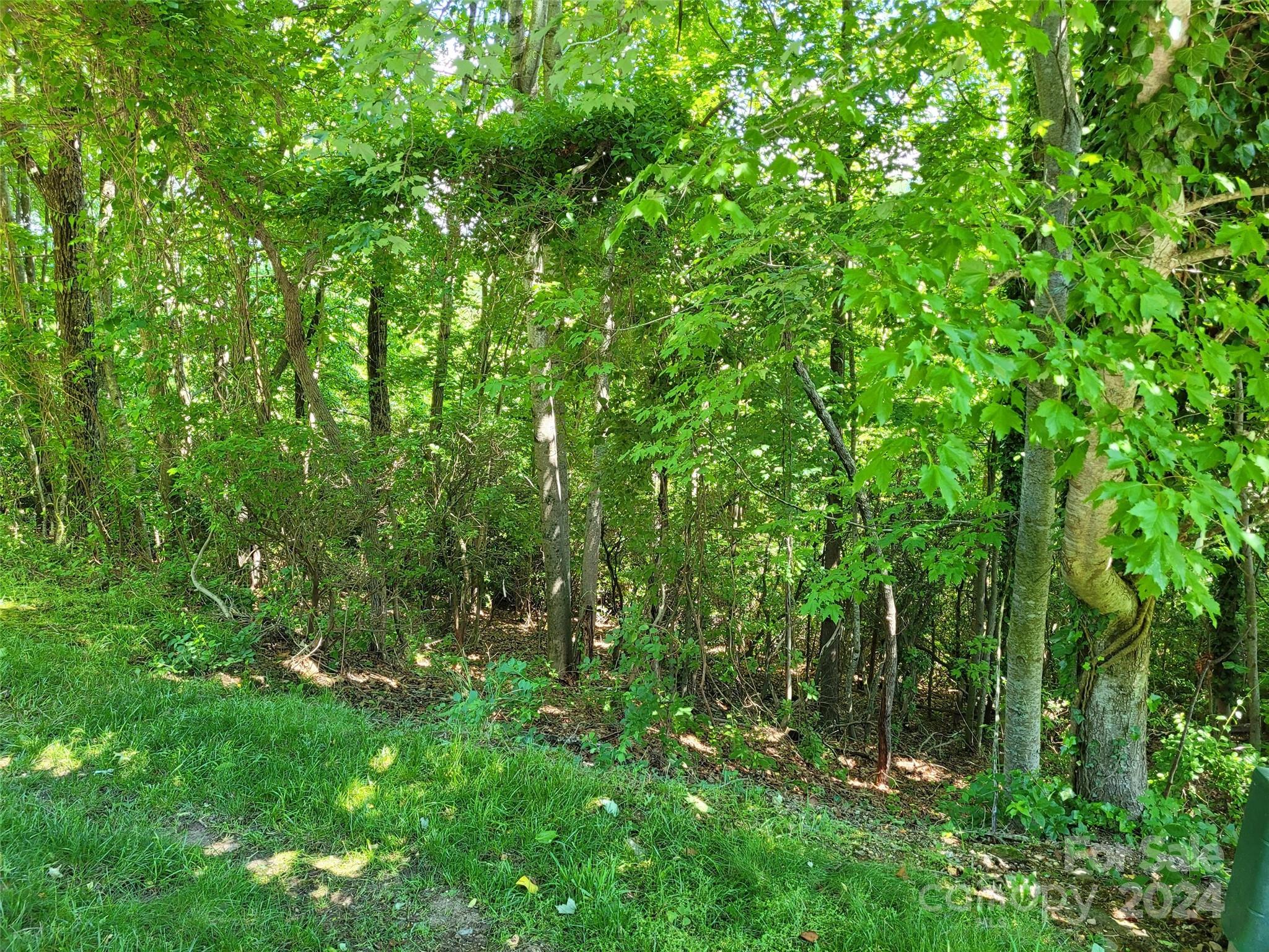 211 Bent Pine Trace 184 Property Photo 15