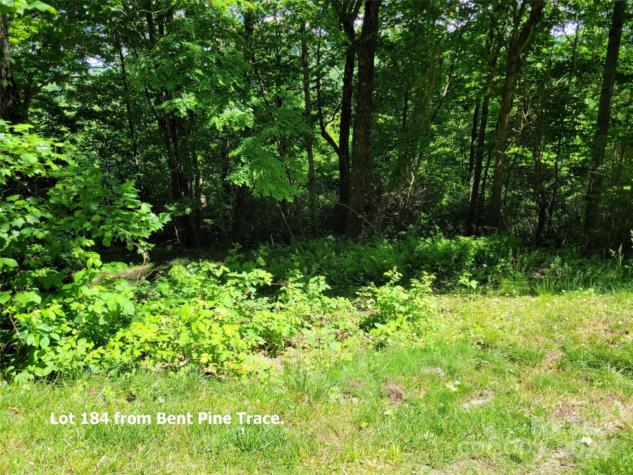 211 Bent Pine Trace 184 Property Photo 16