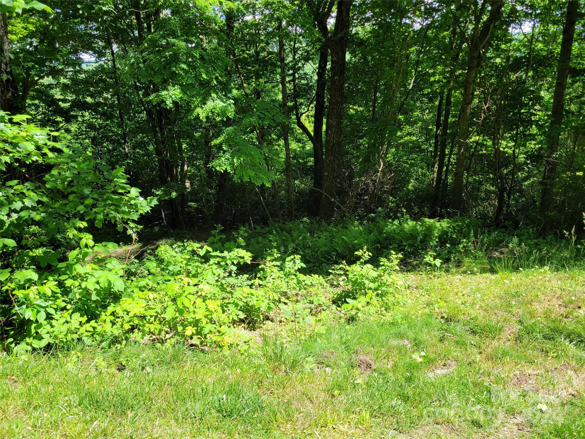 211 Bent Pine Trace 184 Property Photo 17