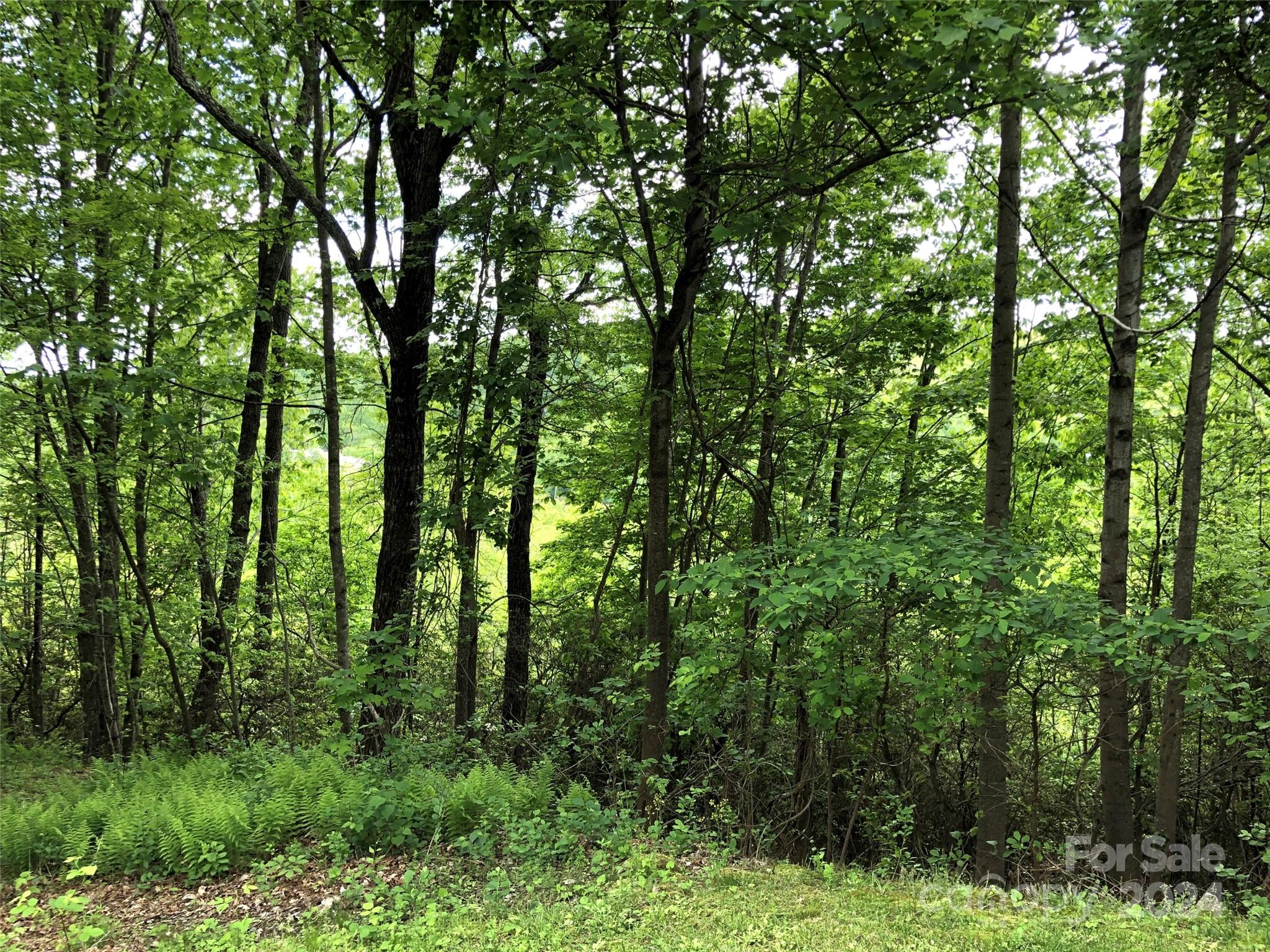 211 Bent Pine Trace 184 Property Photo 31