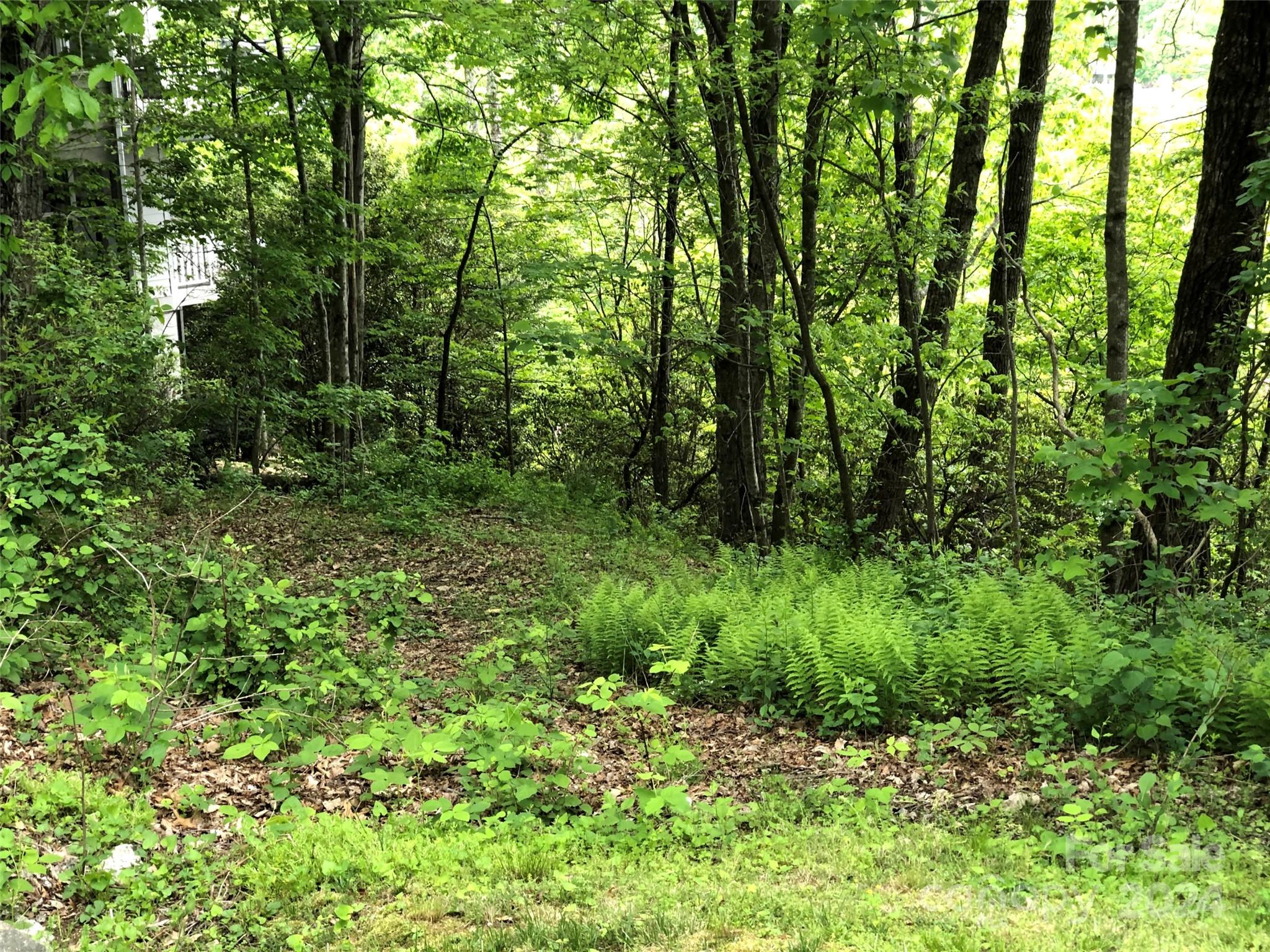 211 Bent Pine Trace 184 Property Photo 36