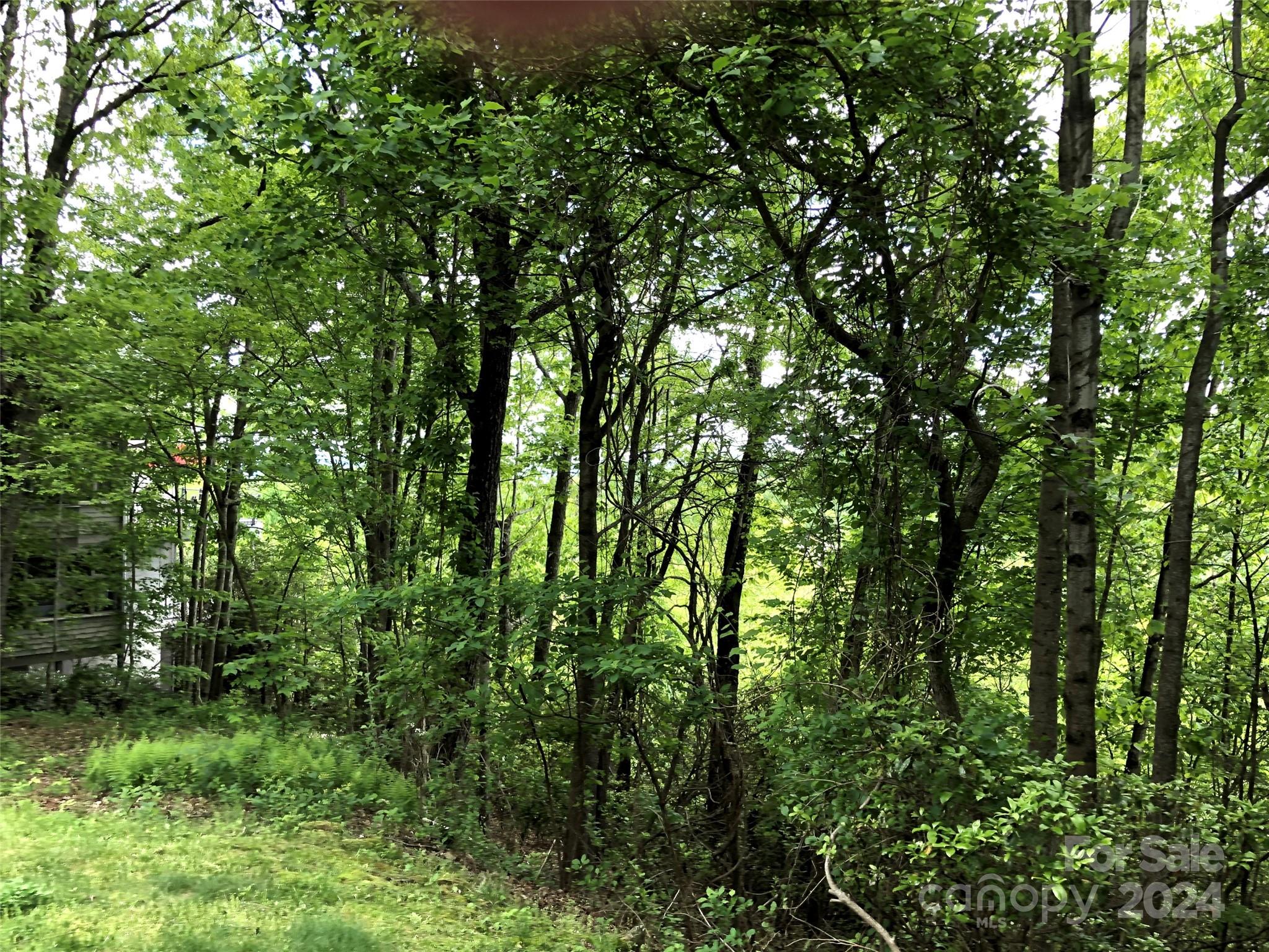 211 Bent Pine Trace 184 Property Photo 37