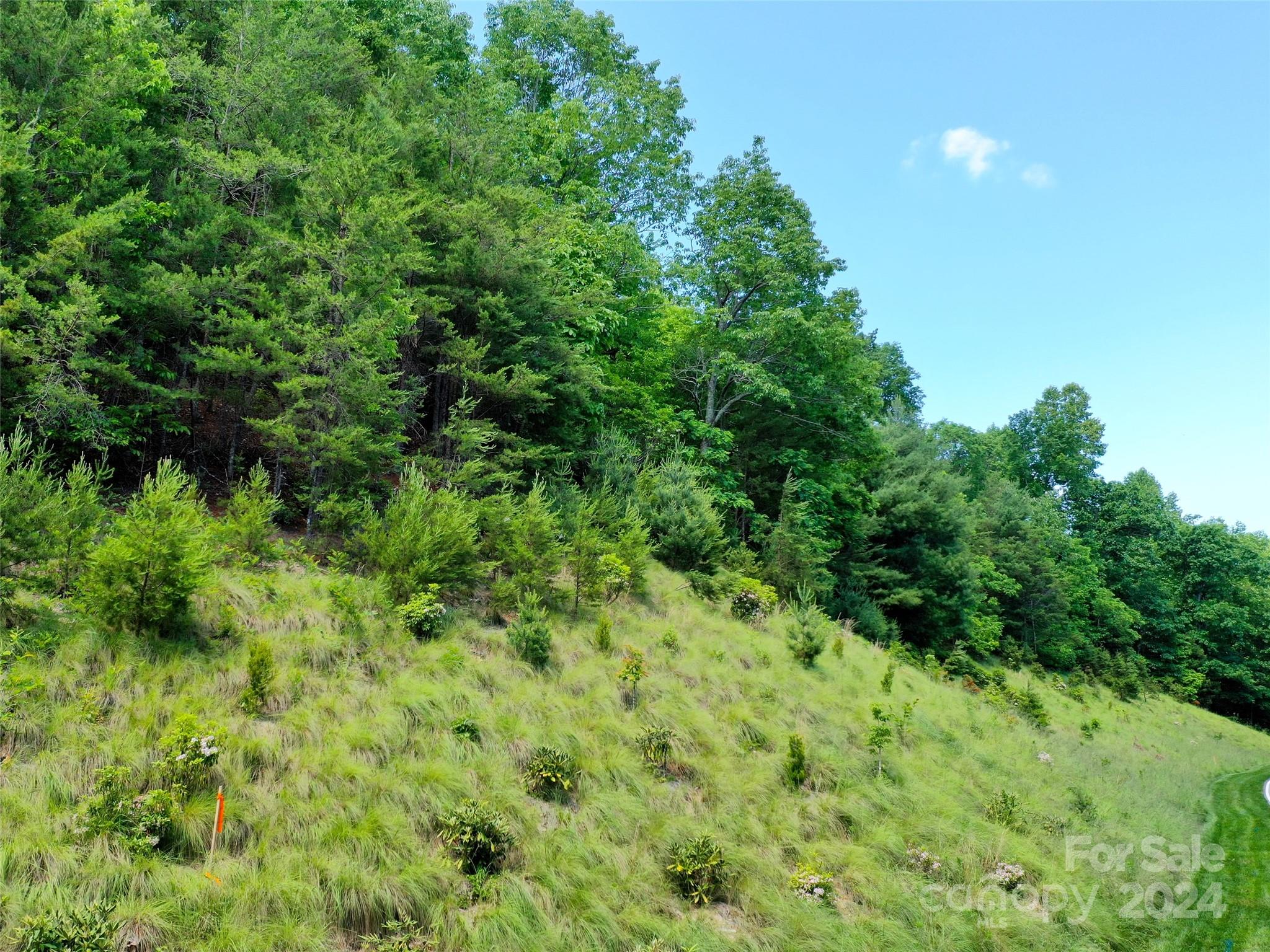 211 Bent Pine Trace 184 Property Photo 41
