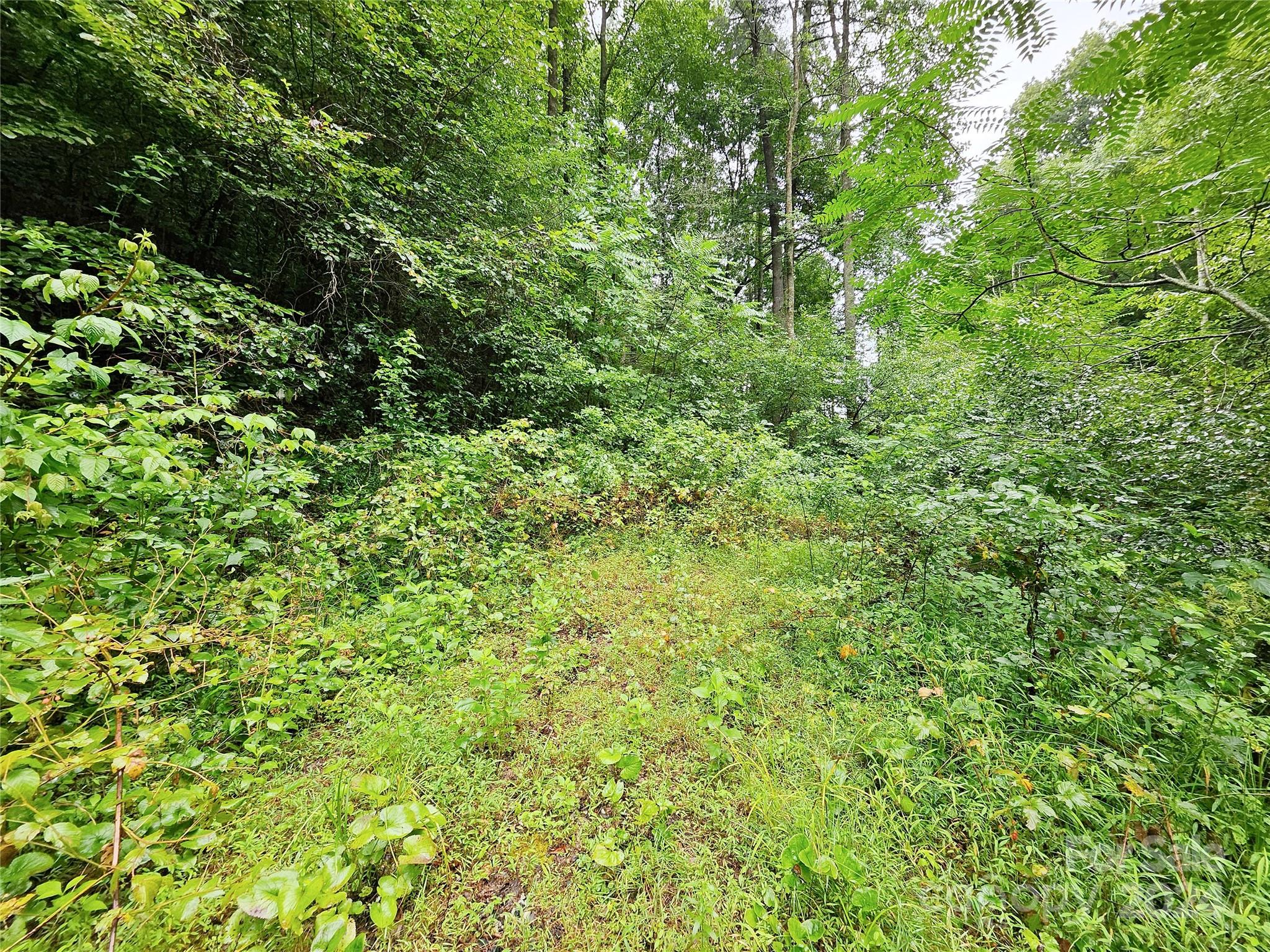 472 Melton Branch Road Property Photo 7