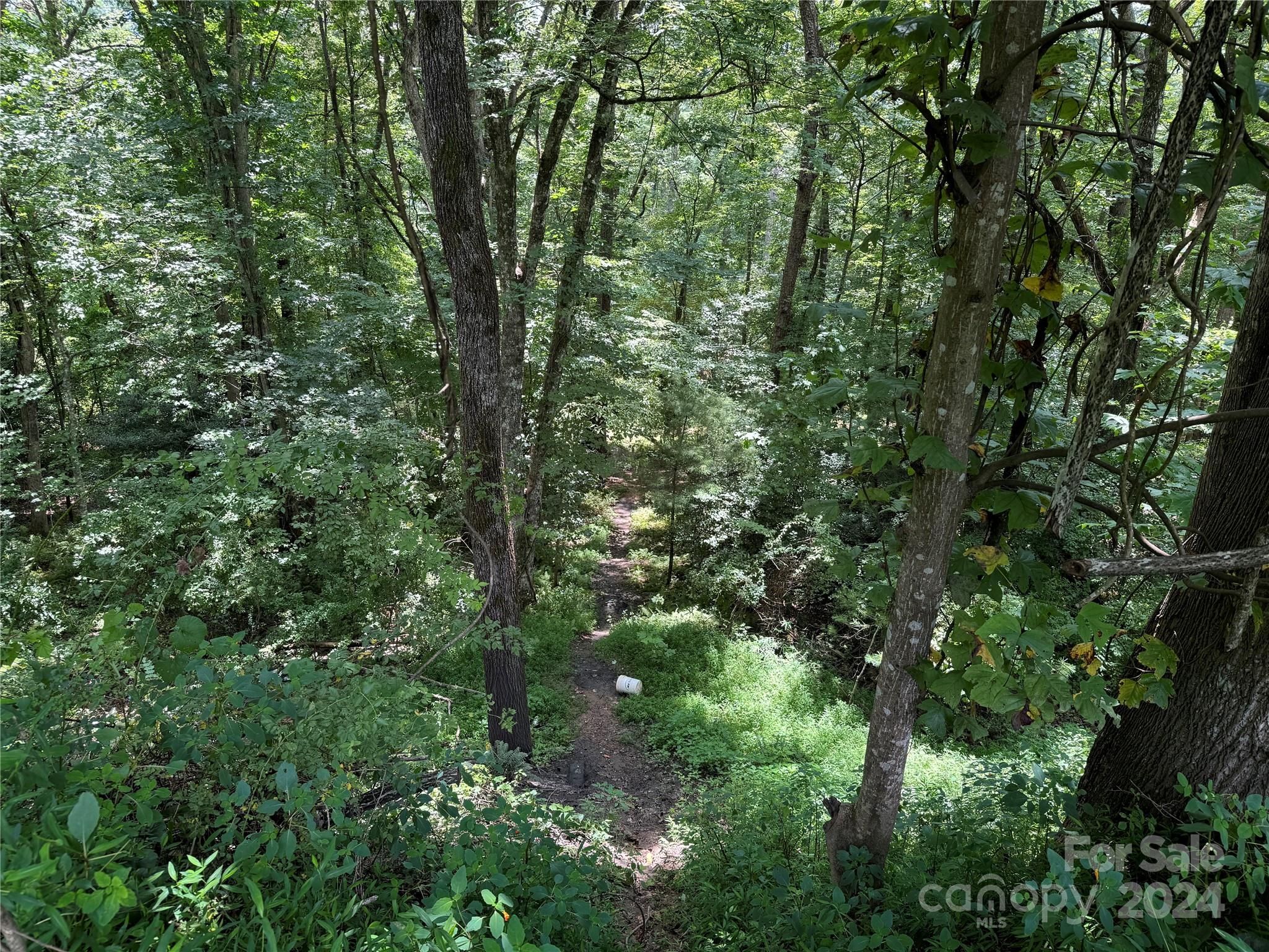481 Fisher Road Property Photo 12