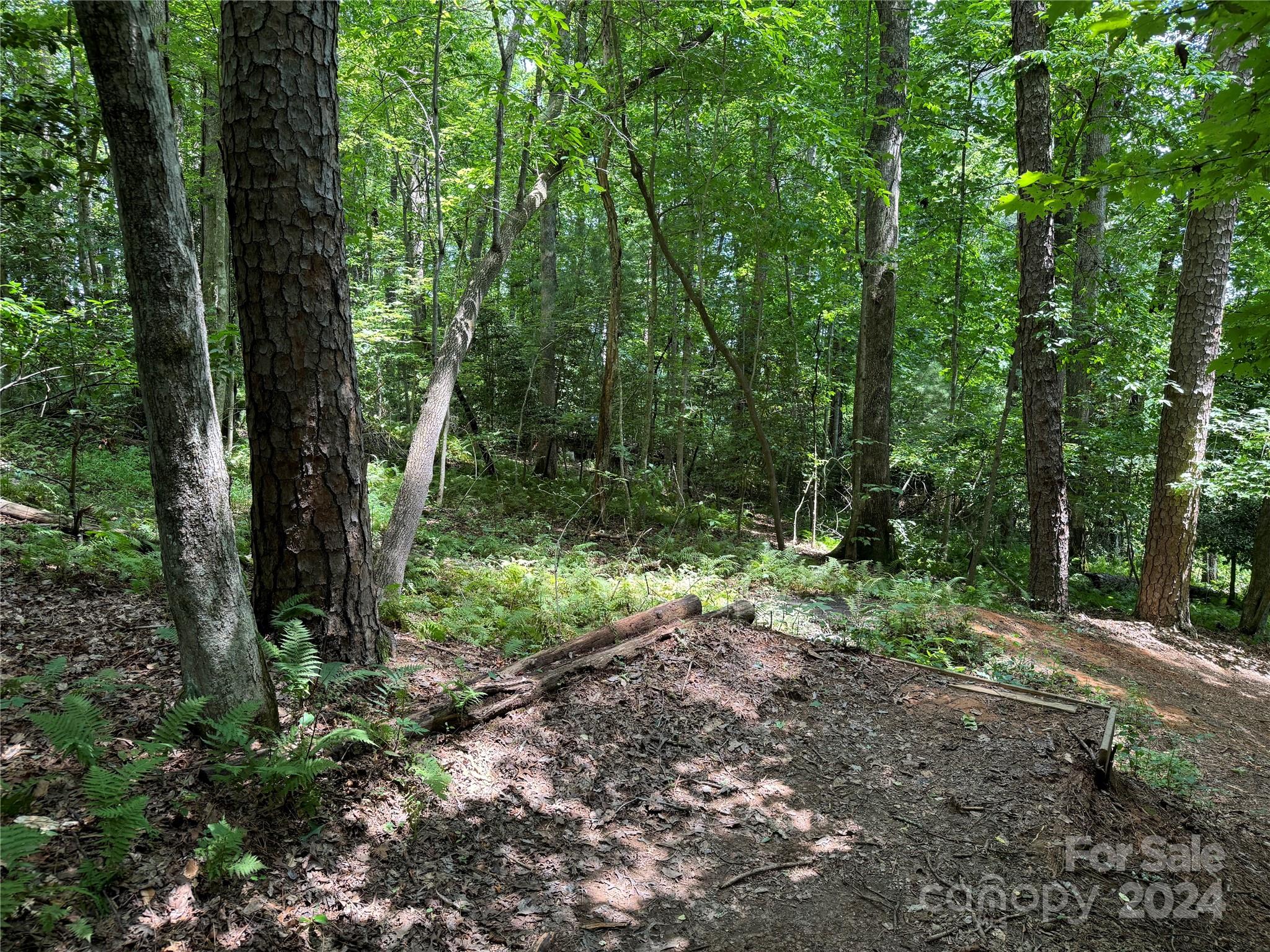 481 Fisher Road Property Photo 16