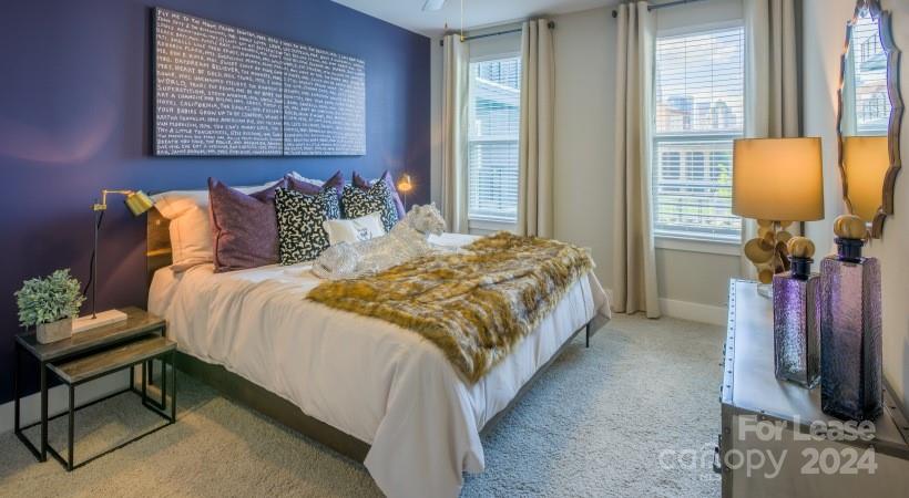 606 Carolina Music Factory Boulevard A1 Property Photo 16