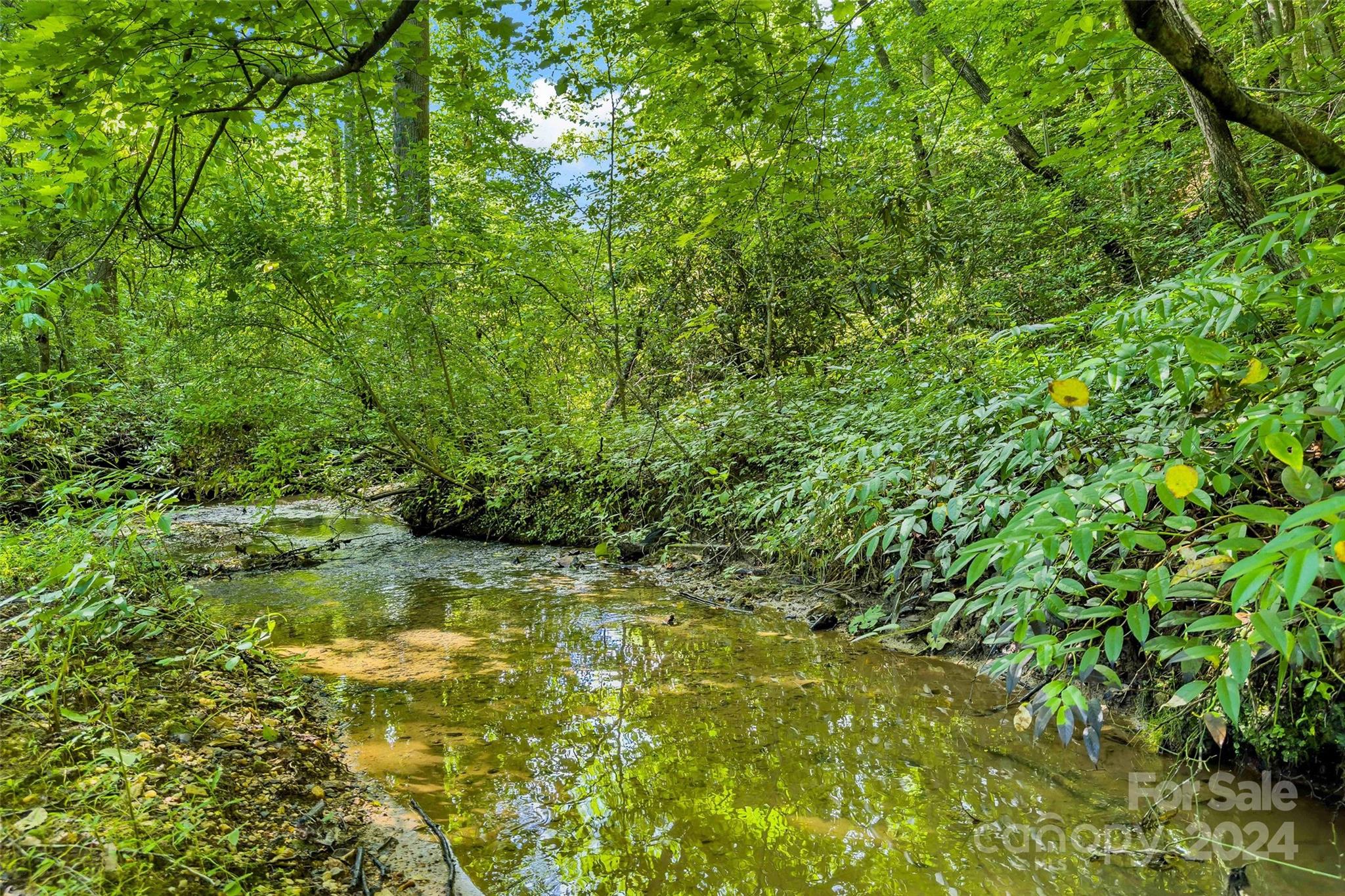 203 Moffitt Branch Road Na Property Photo
