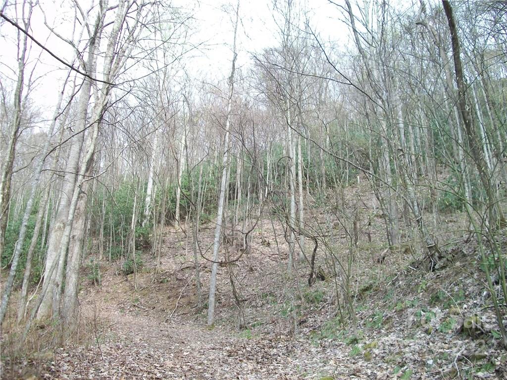 0 Anglers Ridge Road B1, B2,b3,b4 Property Photo 24