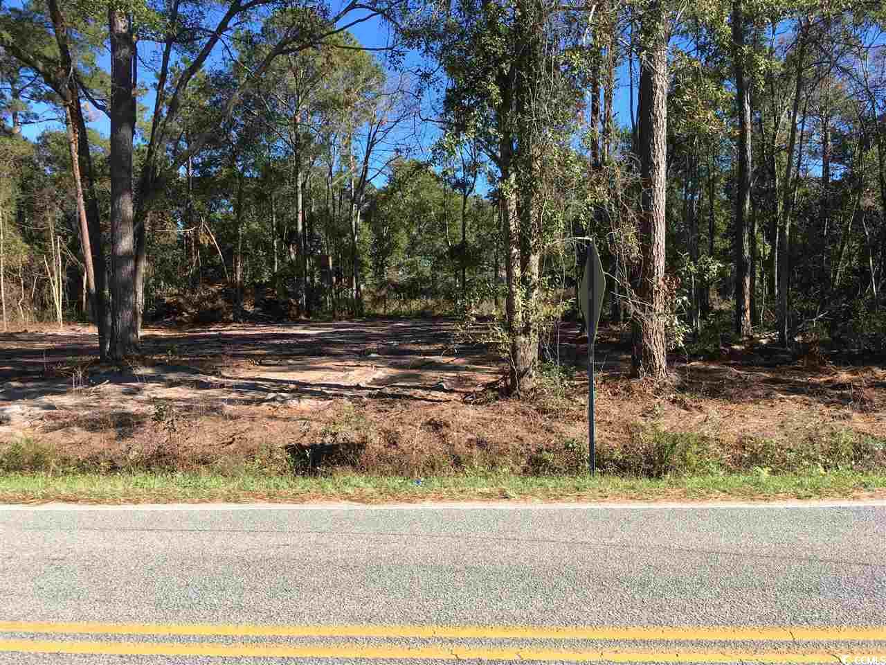 00 Petigru Dr. Property Photo