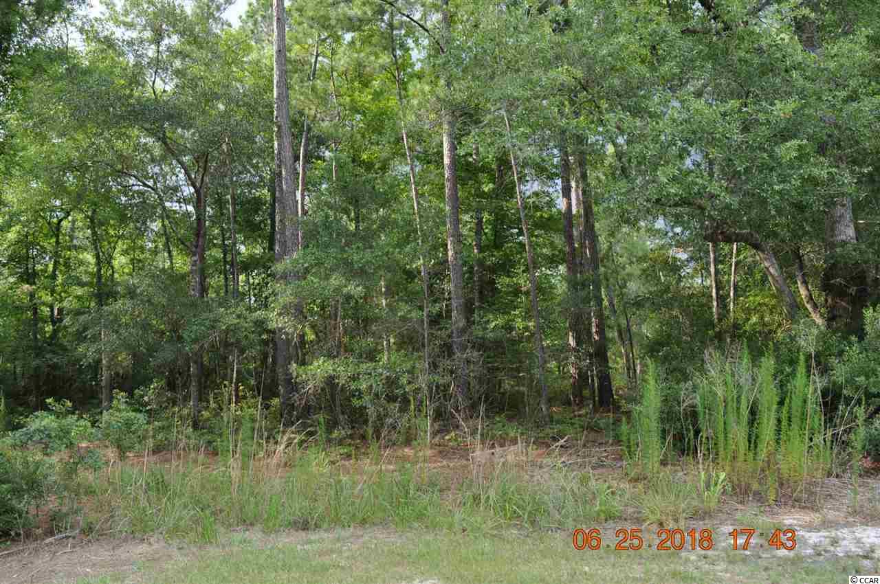 Tbd Francis Marion Dr. Property Photo