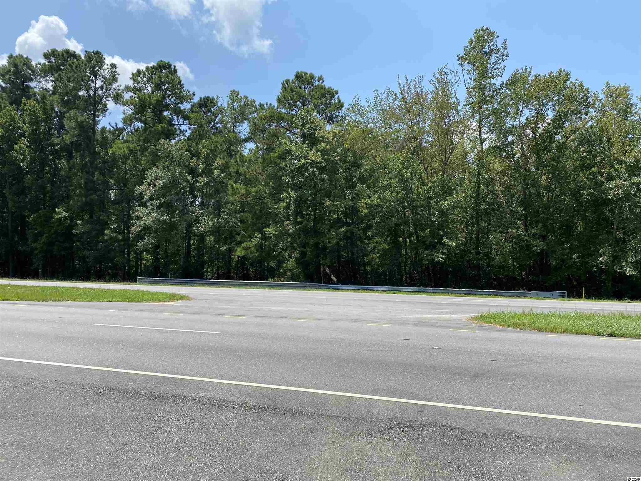 Tbd Highway 501 Property Photo 11