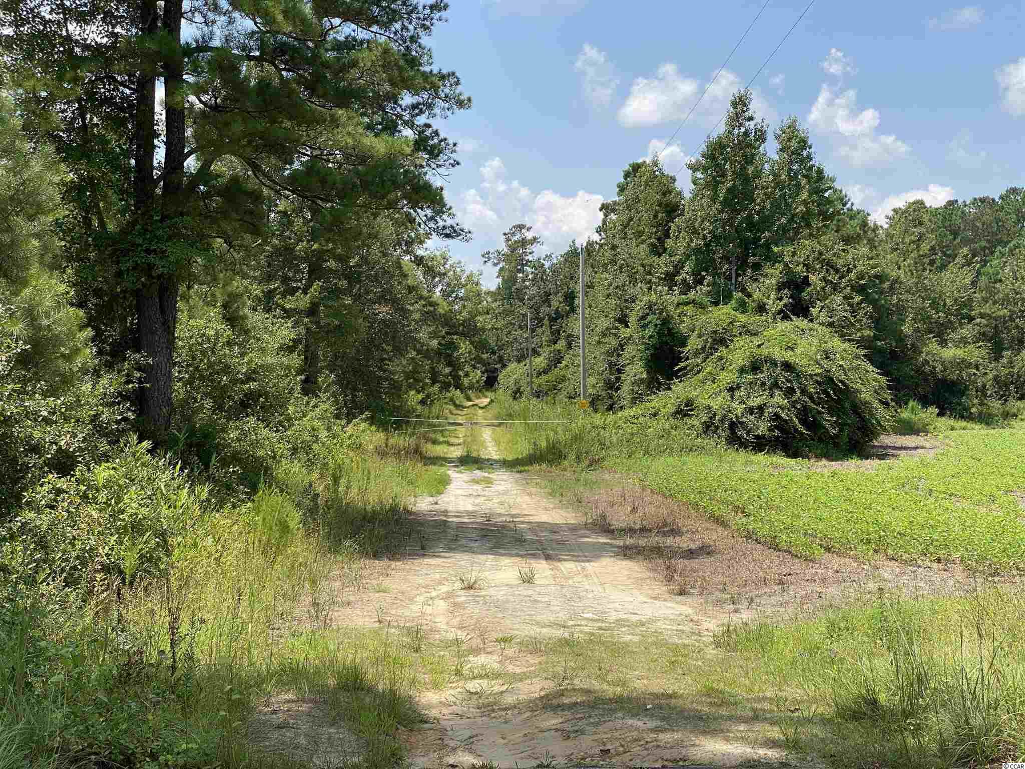 Tbd Highway 501 Property Photo 24