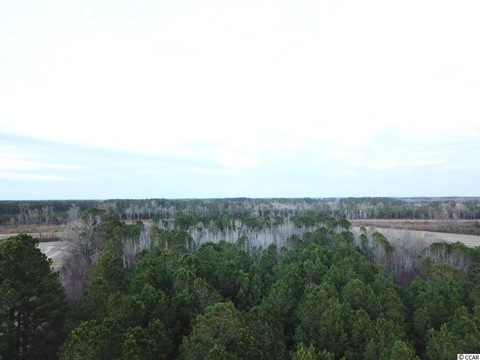 Tbd W Highway 76 Property Photo 4
