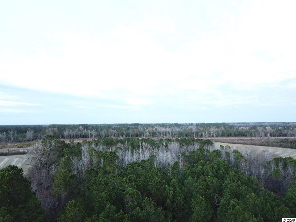 Tbd W Highway 76 Property Photo 6