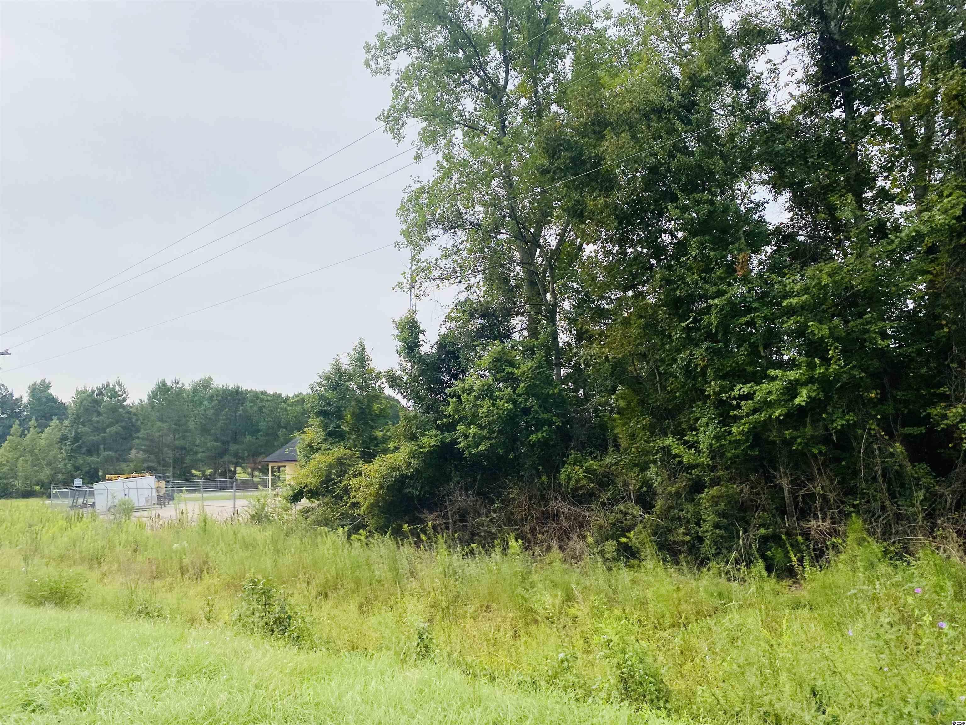 Tbd Red Bluff Rd. Property Photo 8