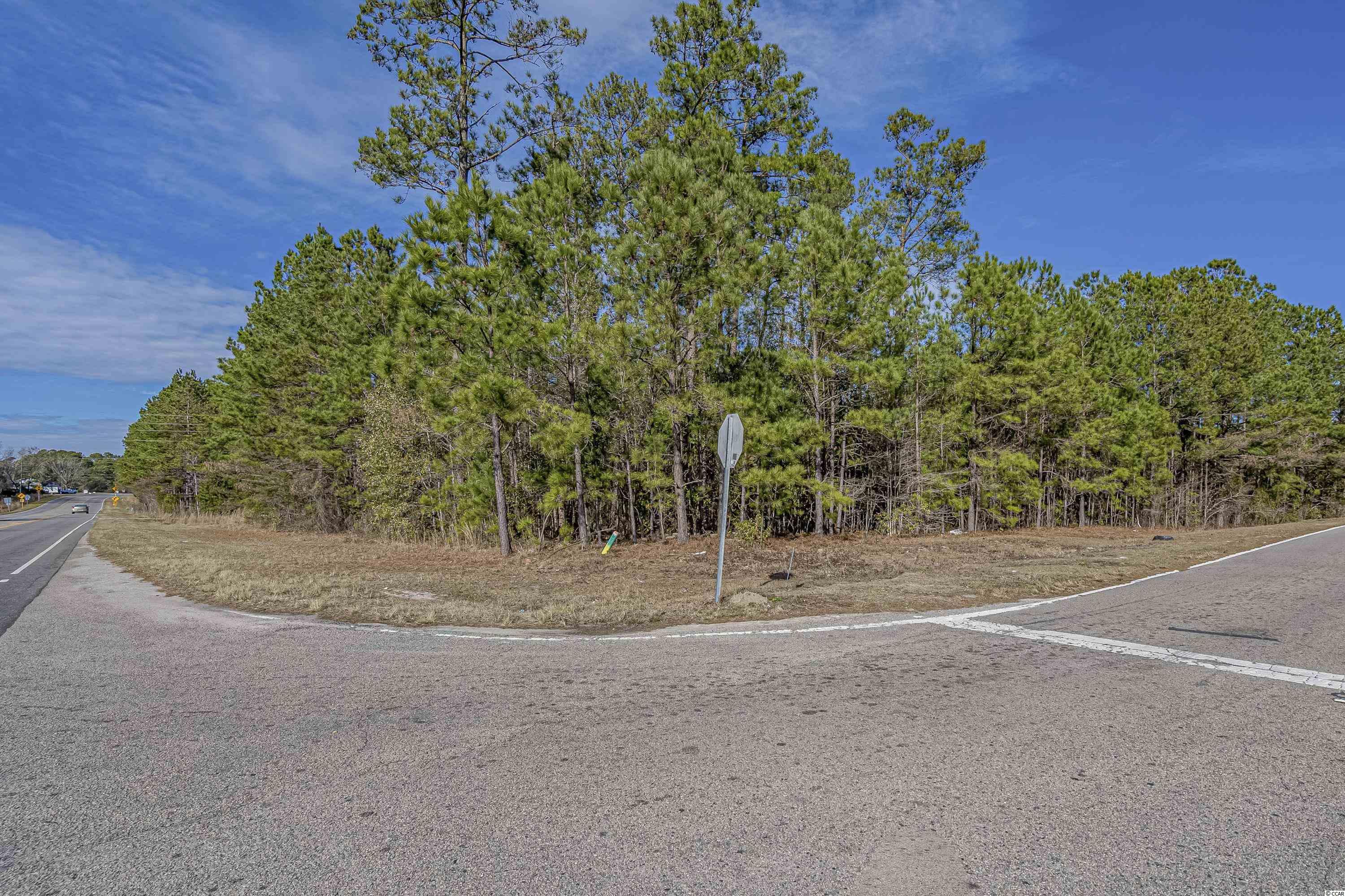 Tbd Red Bluff Rd. Property Photo 14
