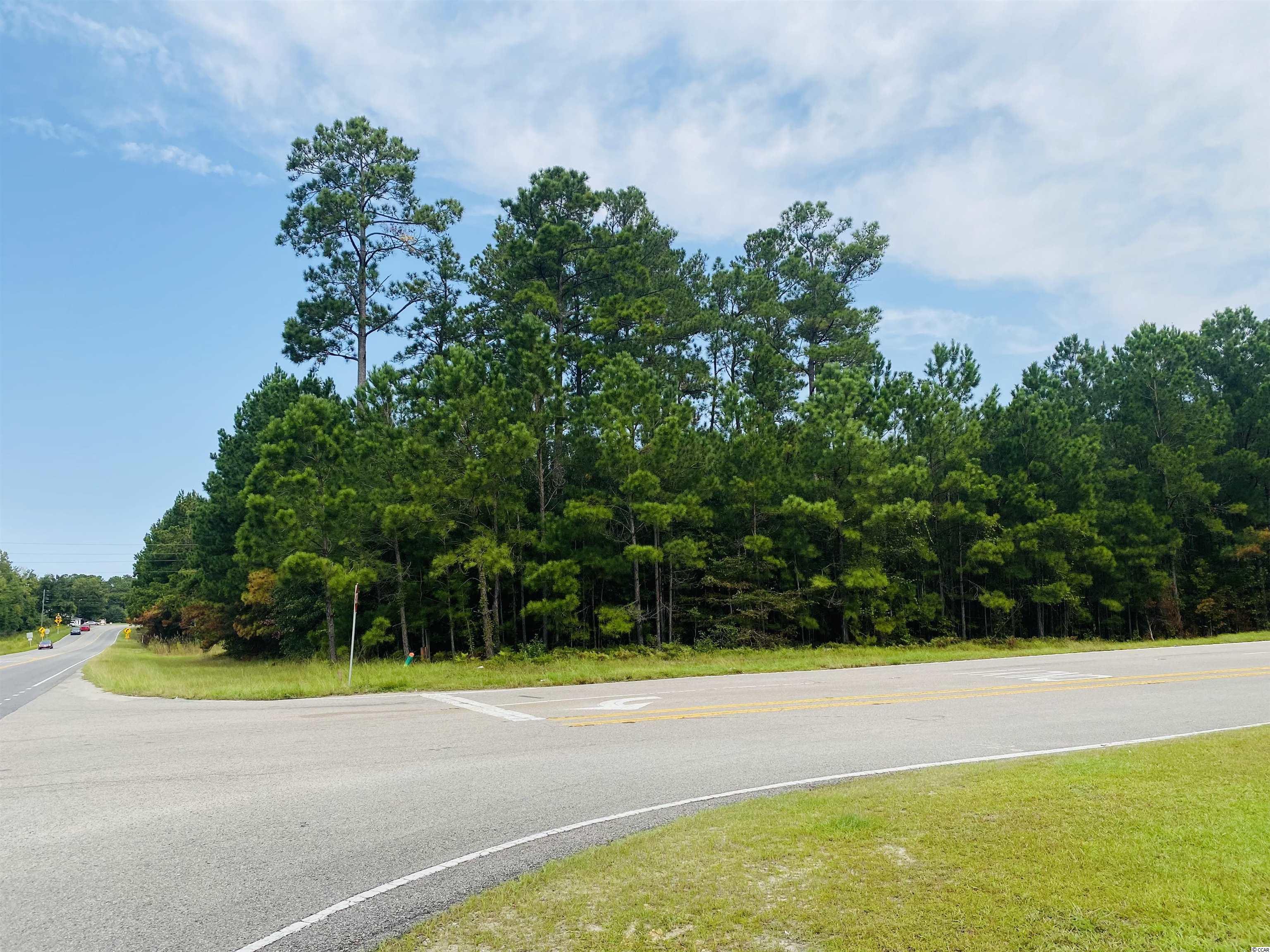 Tbd Red Bluff Rd. Property Photo 17