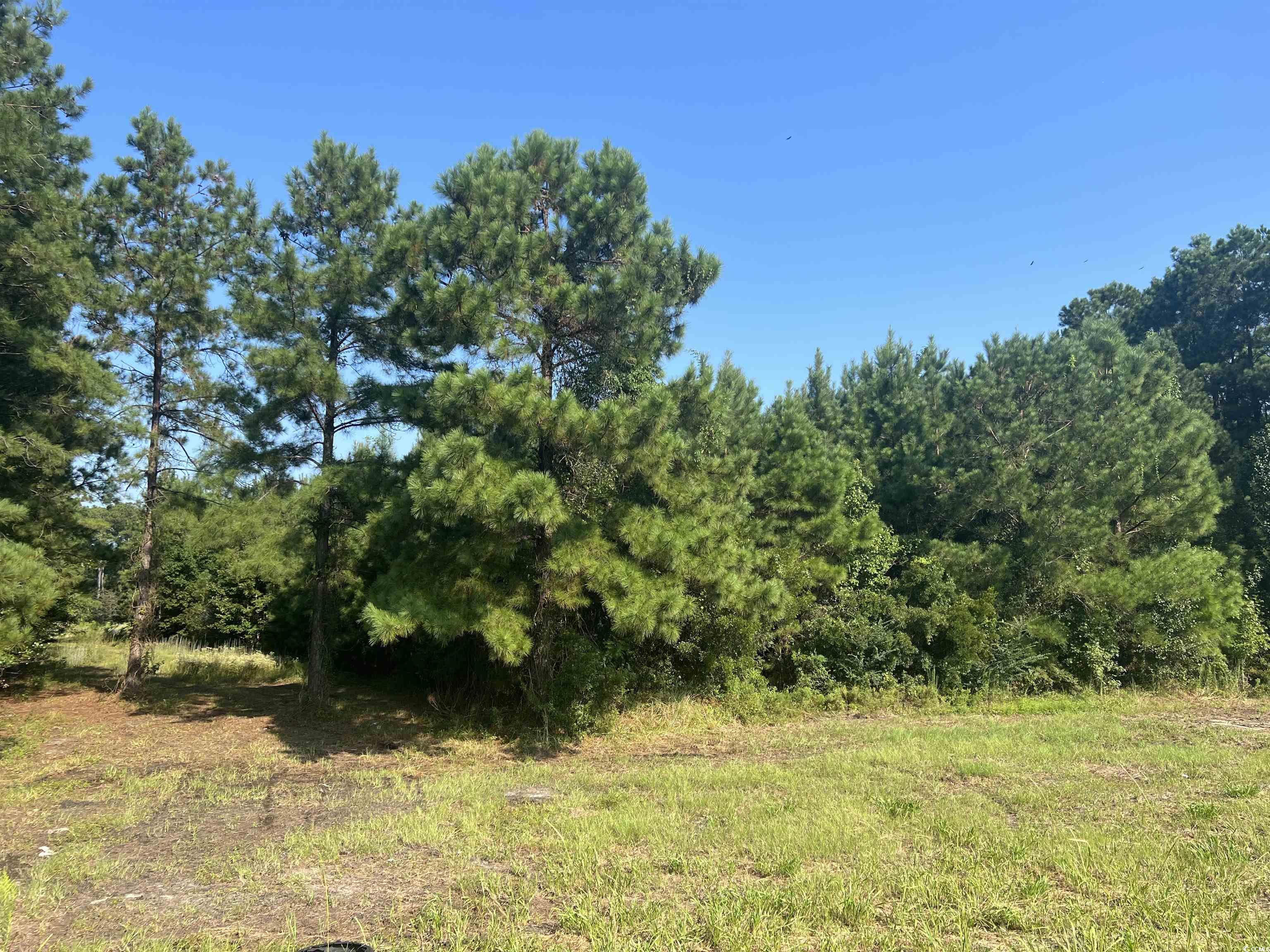 Lot 2 Highway 707 Property Photo