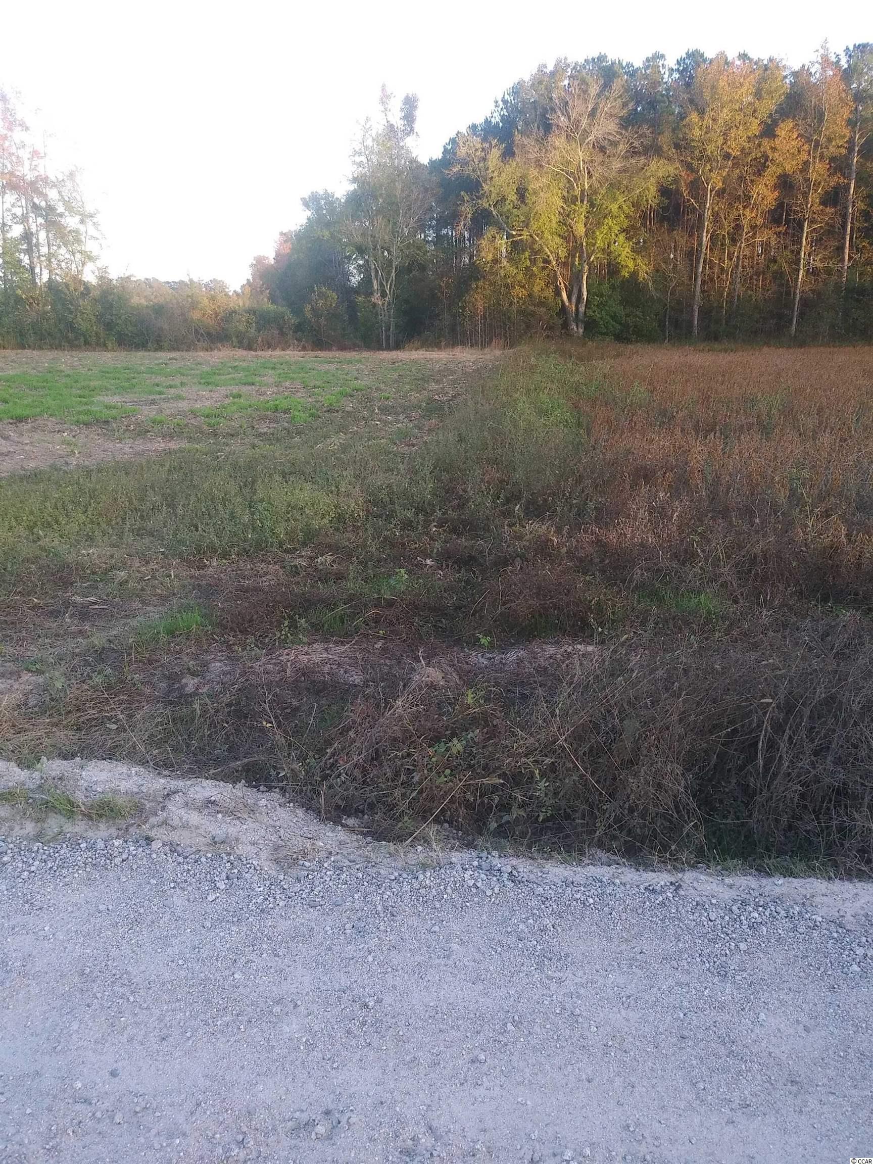 Lot 1 Miller Rd. Property Photo 1